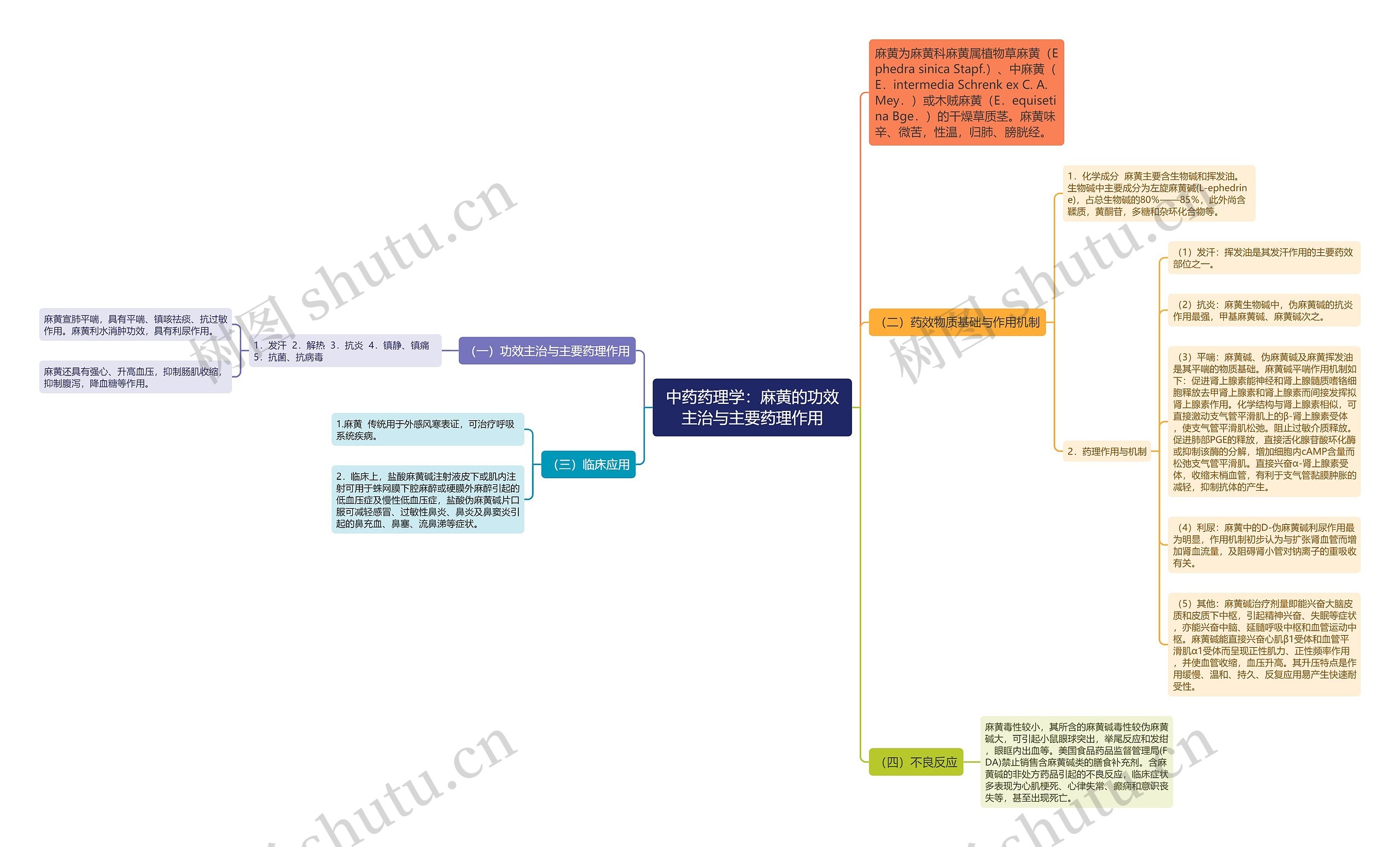 中药药理学：麻黄的功效主治与主要药理作用