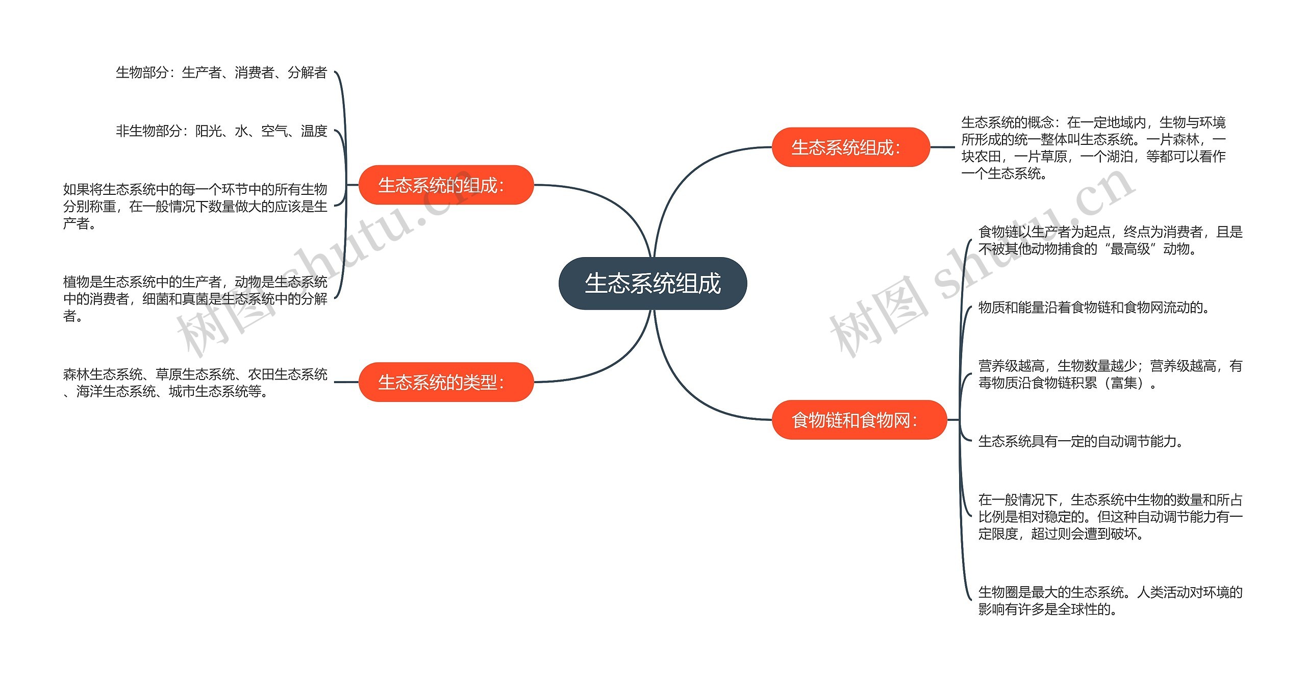 生态系统组成