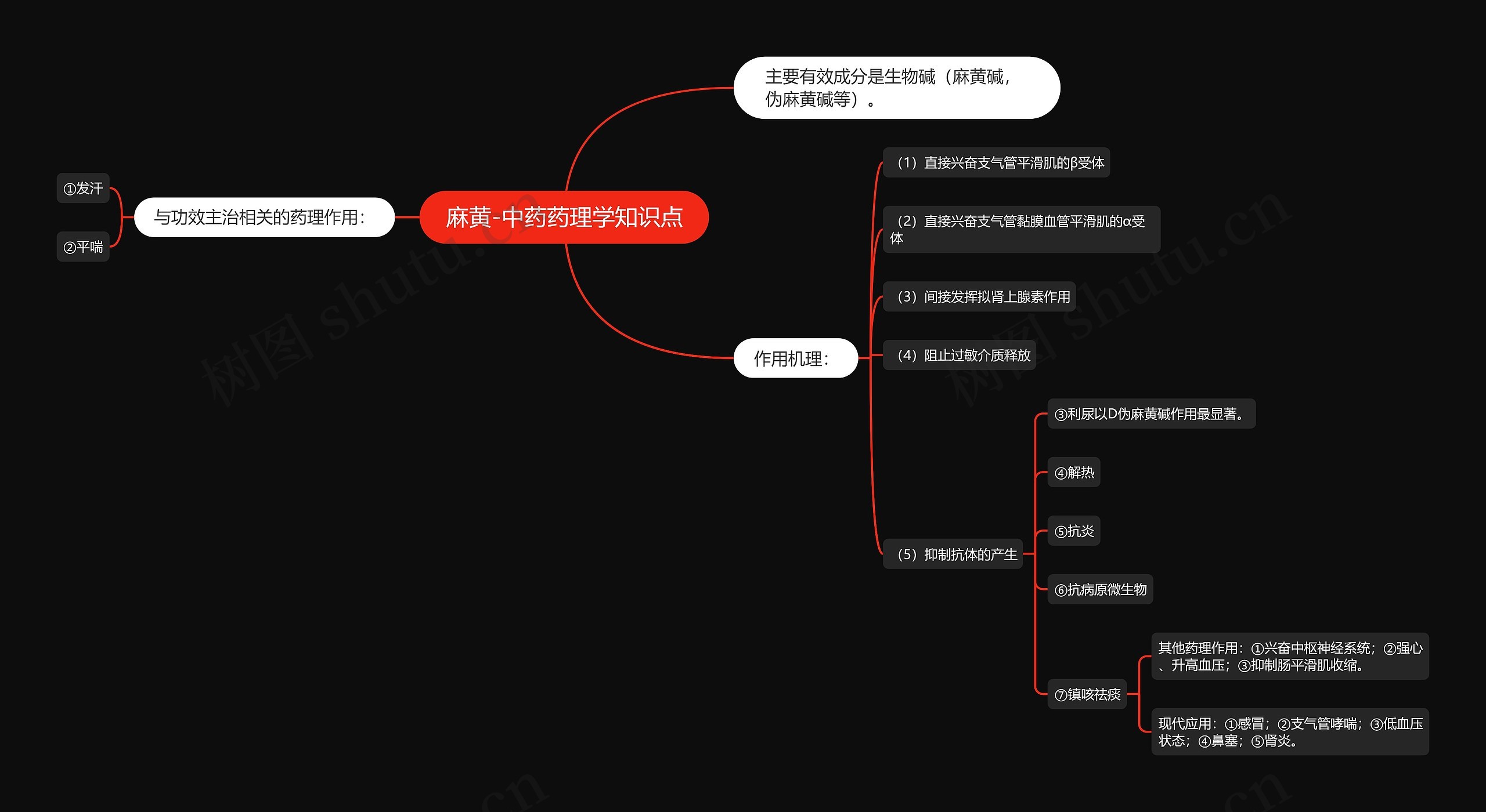 麻黄-中药药理学知识点