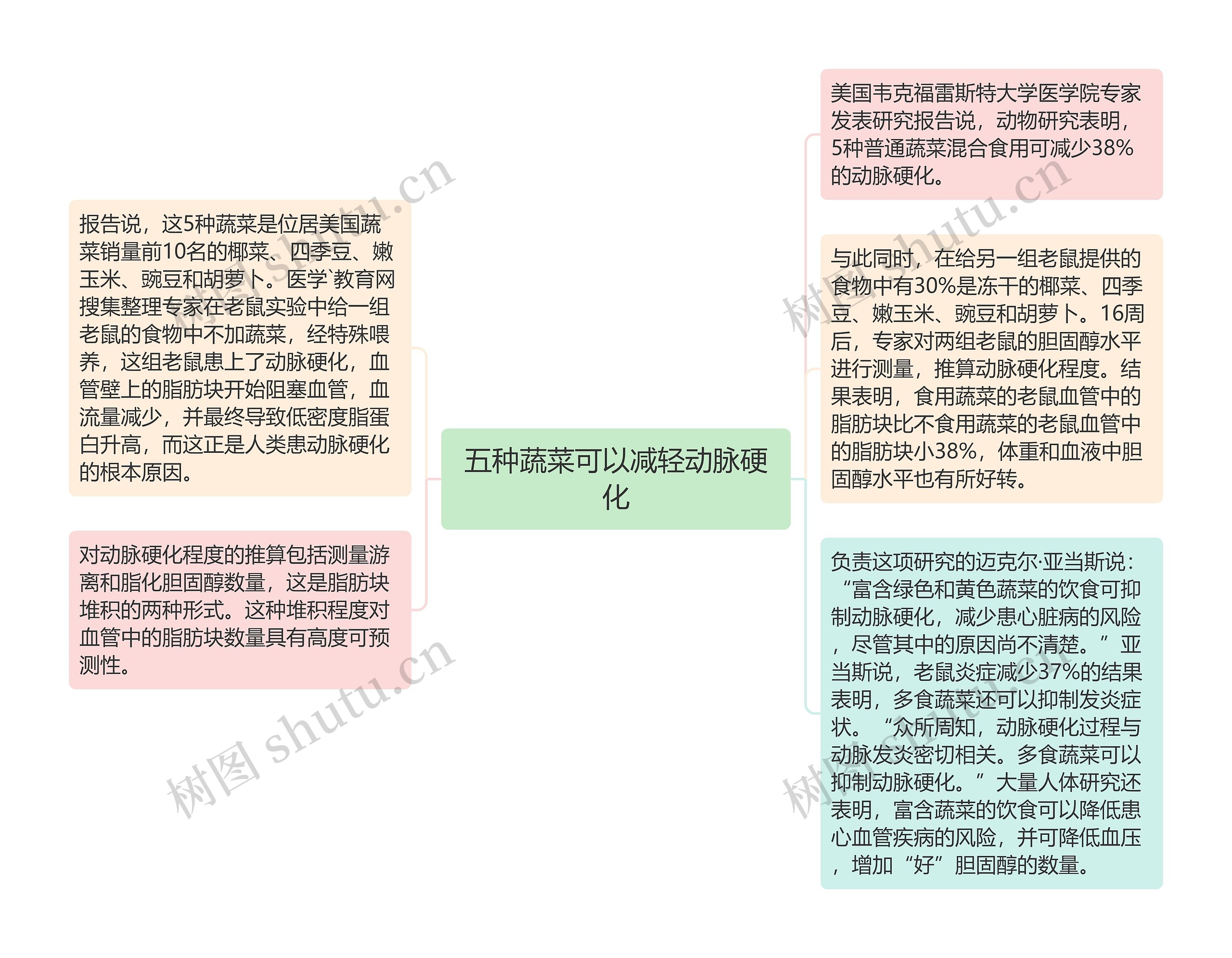 五种蔬菜可以减轻动脉硬化思维导图