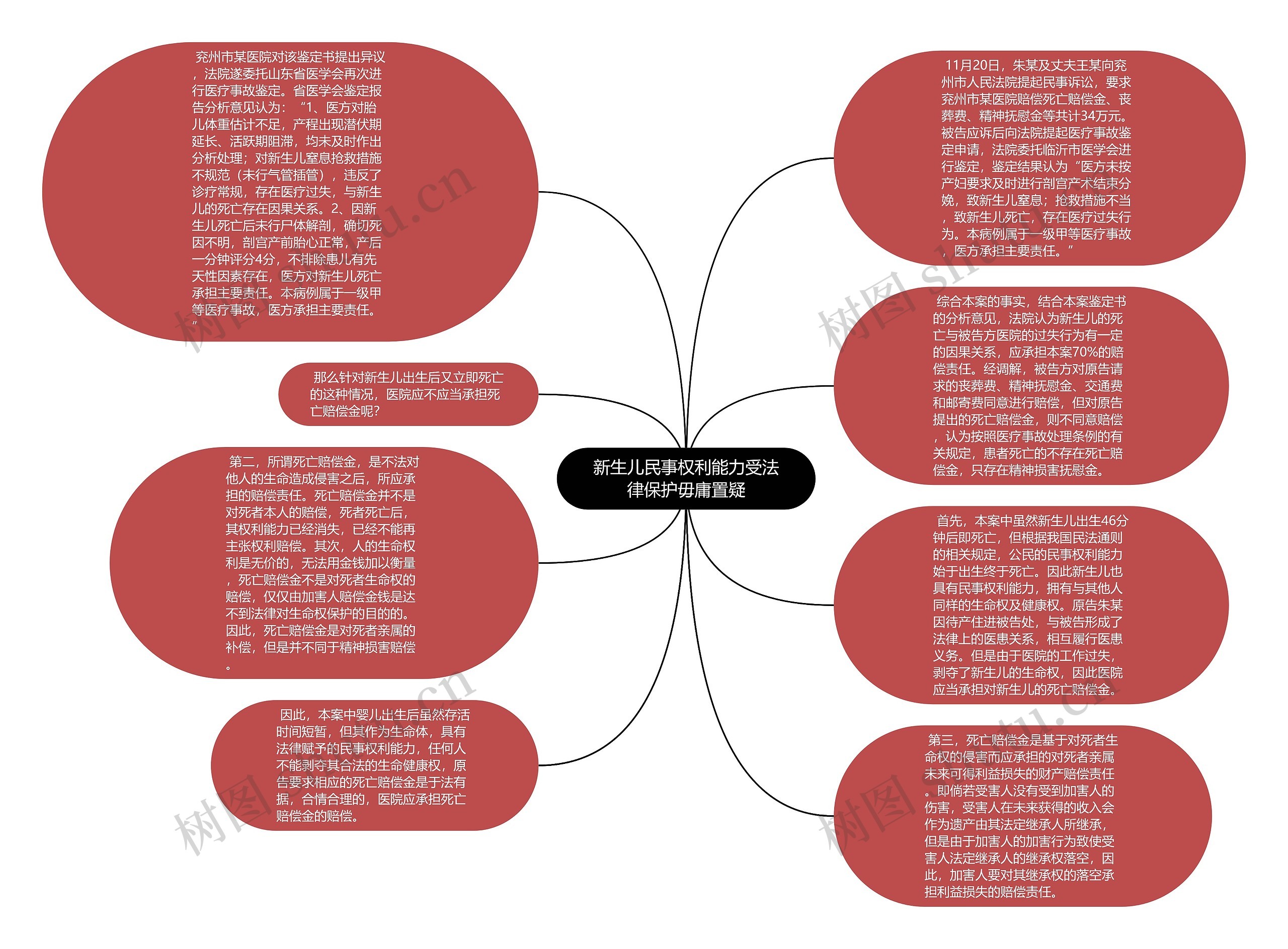 新生儿民事权利能力受法律保护毋庸置疑思维导图