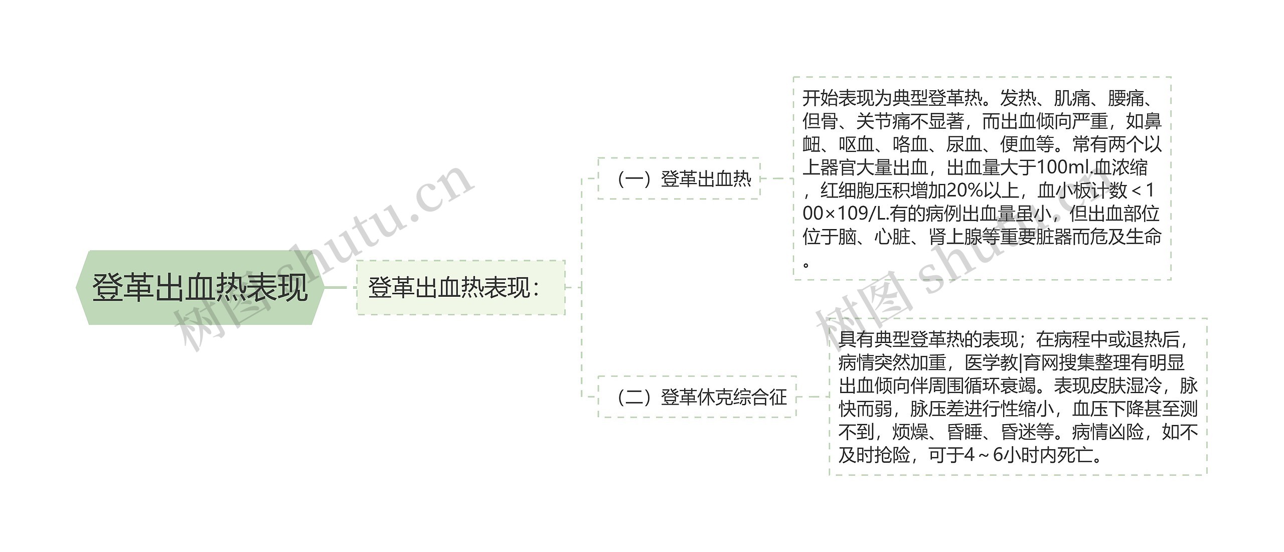 登革出血热表现思维导图