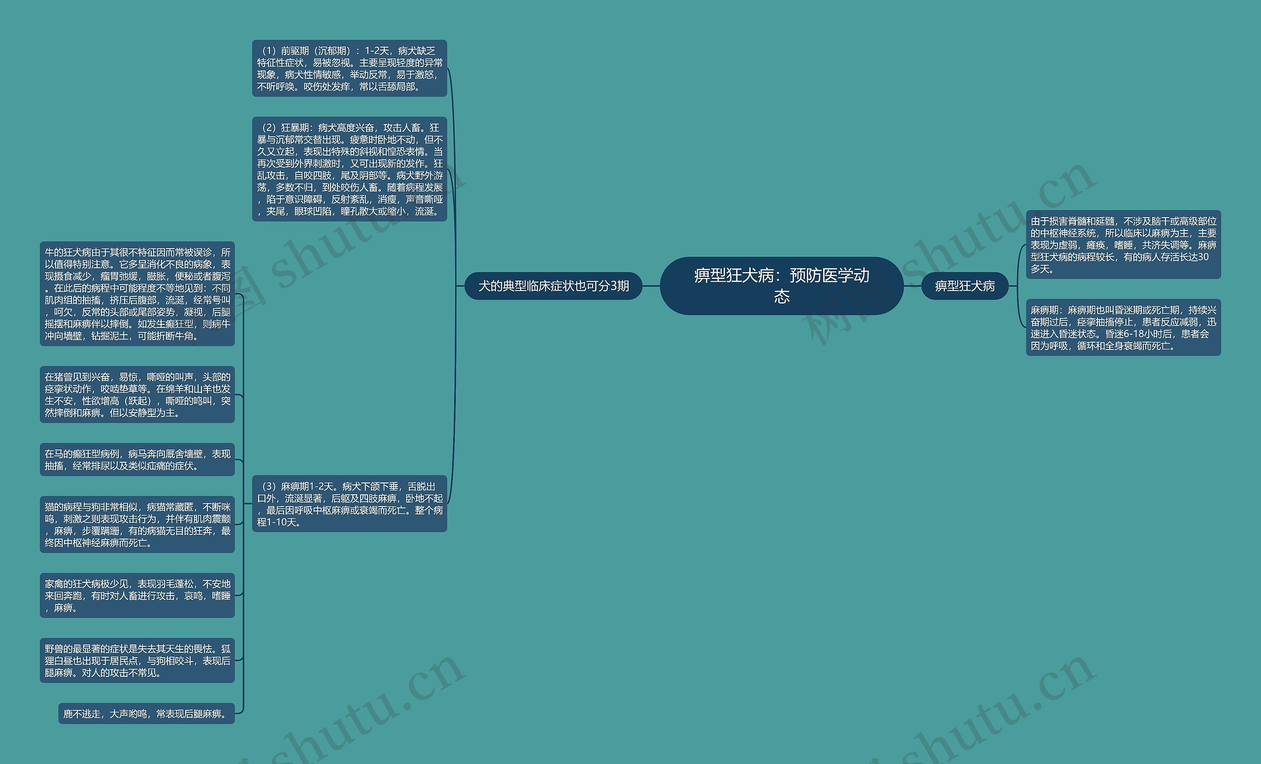 痹型狂犬病：预防医学动态思维导图