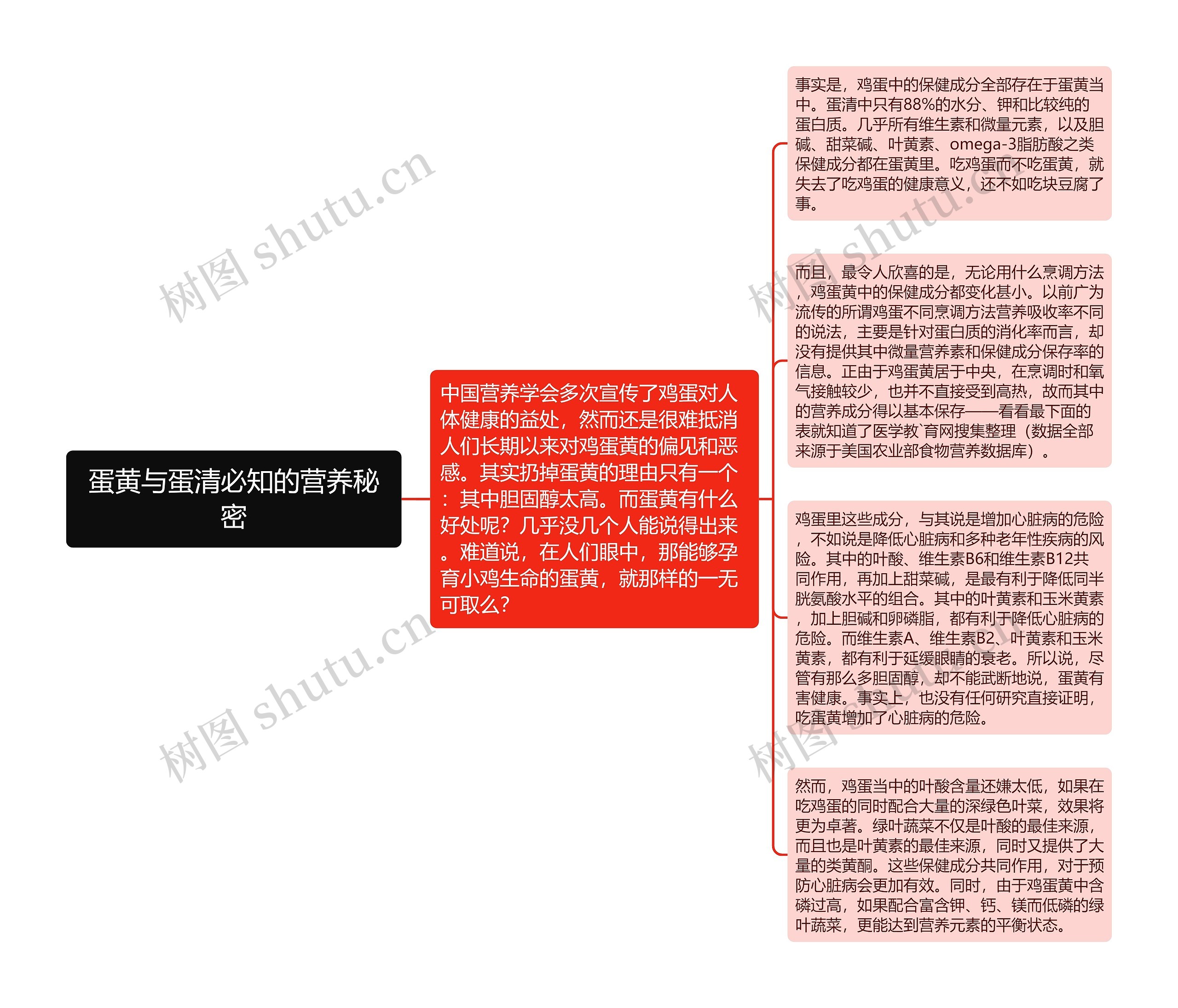 蛋黄与蛋清必知的营养秘密思维导图