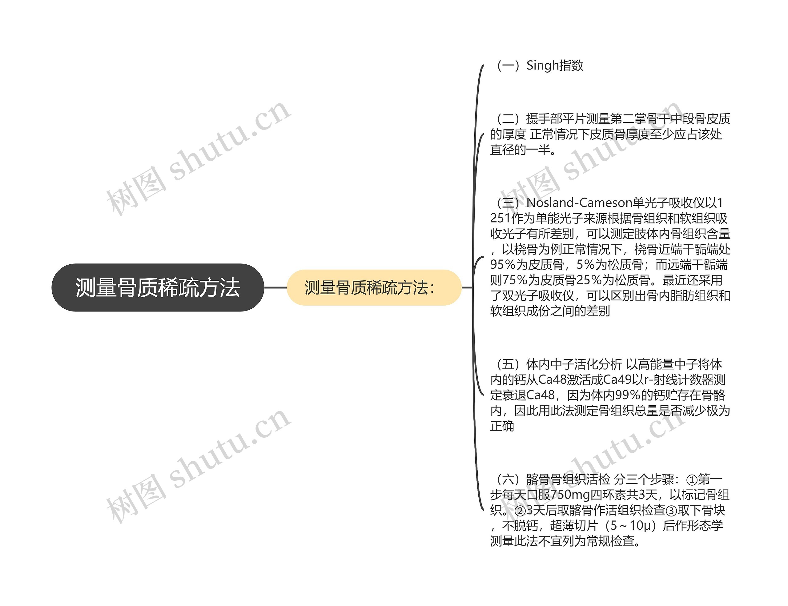 测量骨质稀疏方法