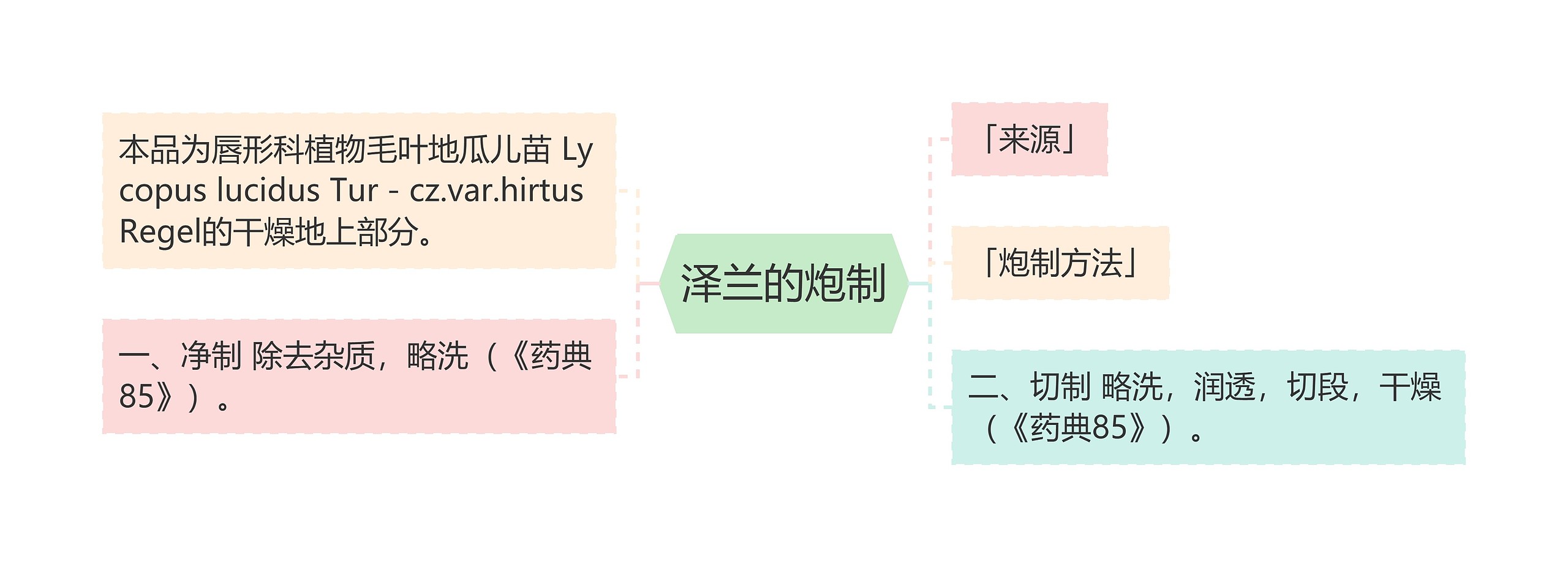 泽兰的炮制思维导图