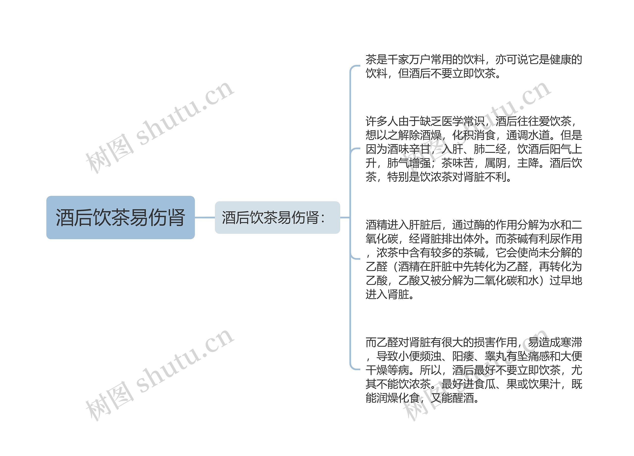 酒后饮茶易伤肾思维导图