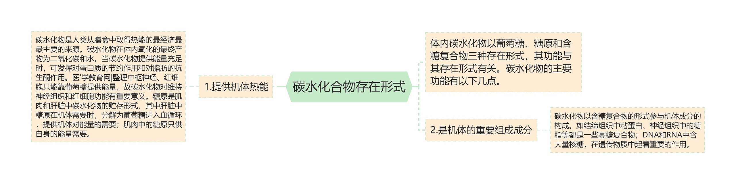 碳水化合物存在形式 碳水化合物存在形式