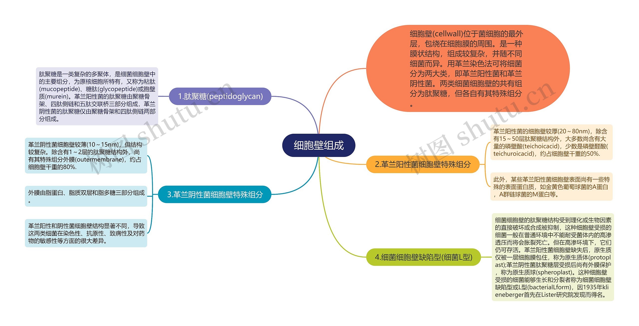 细胞壁组成