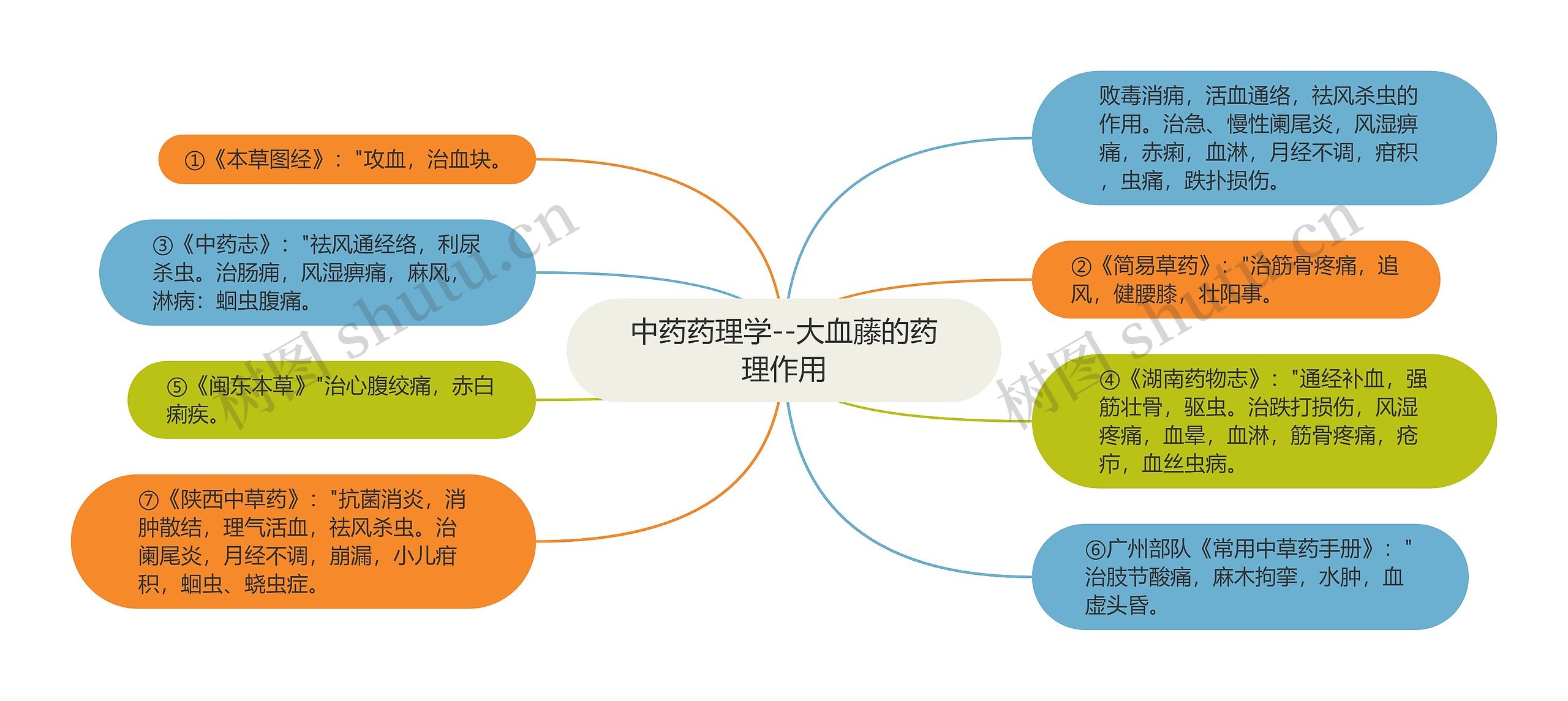 中药药理学--大血藤的药理作用思维导图