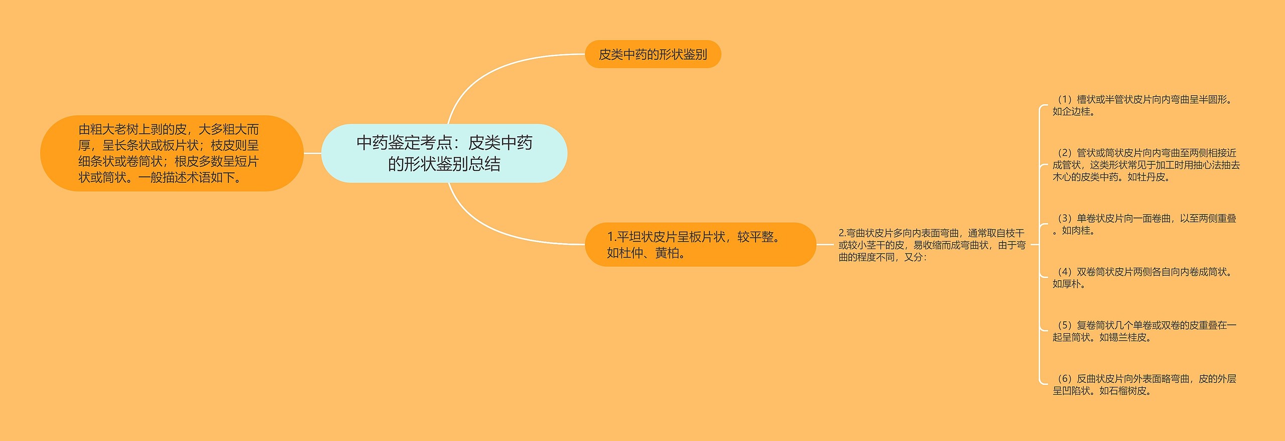 中药鉴定考点:皮类中药的形状鉴别总结 中药鉴定考点:皮类中药的形状鉴别总结
