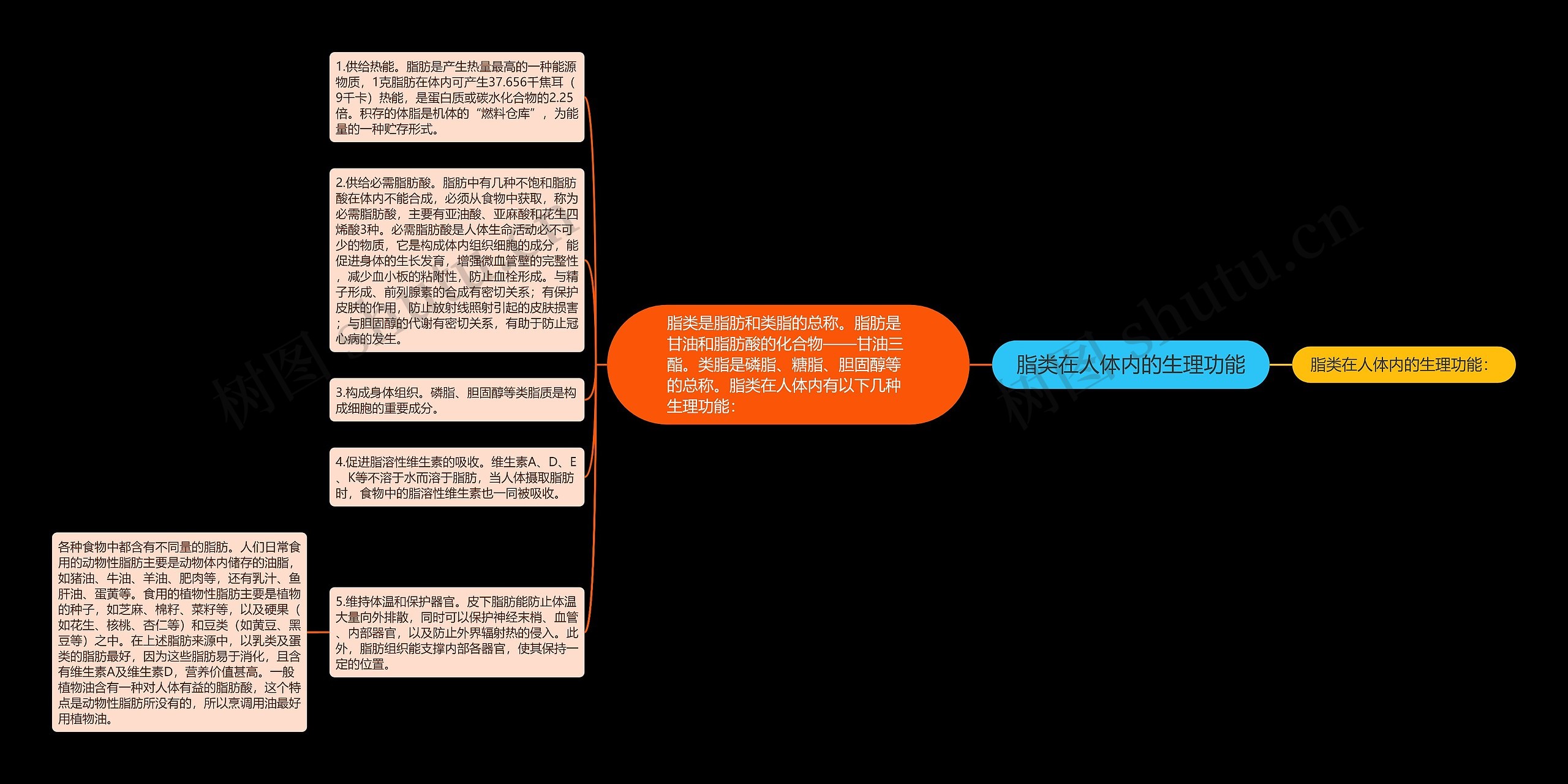 脂类在人体内的生理功能思维导图