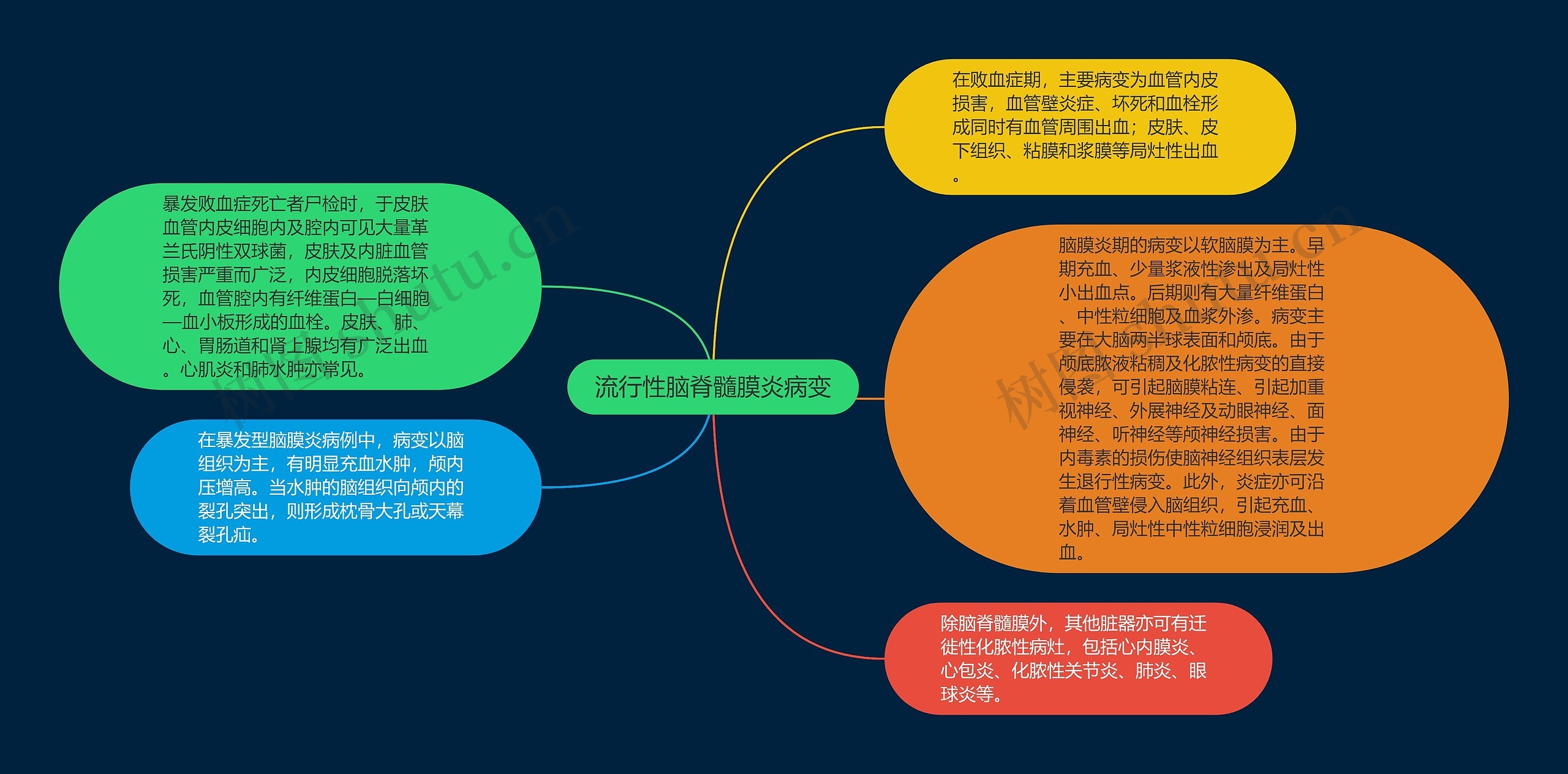 流行性脑脊髓膜炎病变思维导图