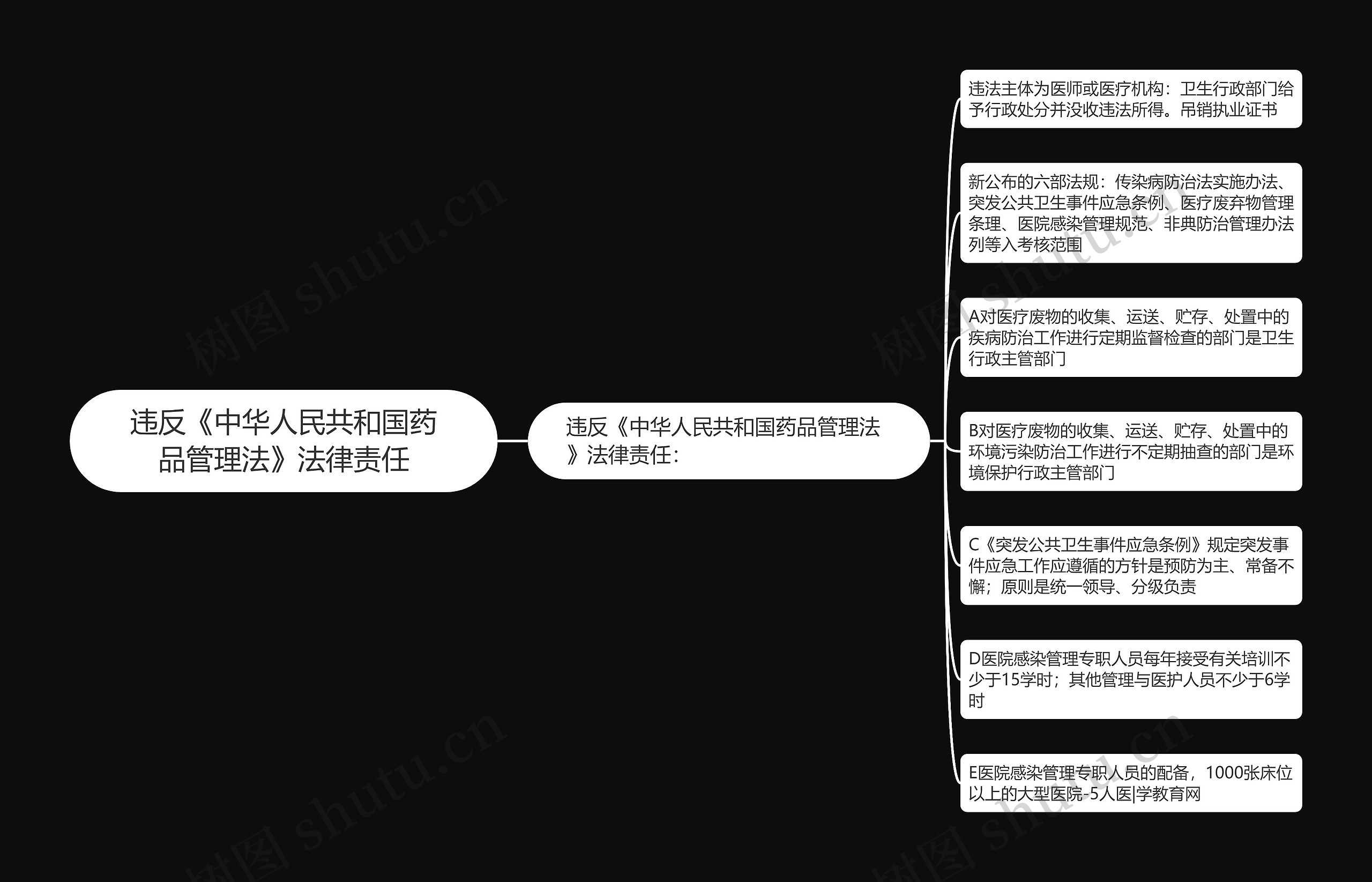 违反《中华人民共和国药品管理法》法律责任思维导图