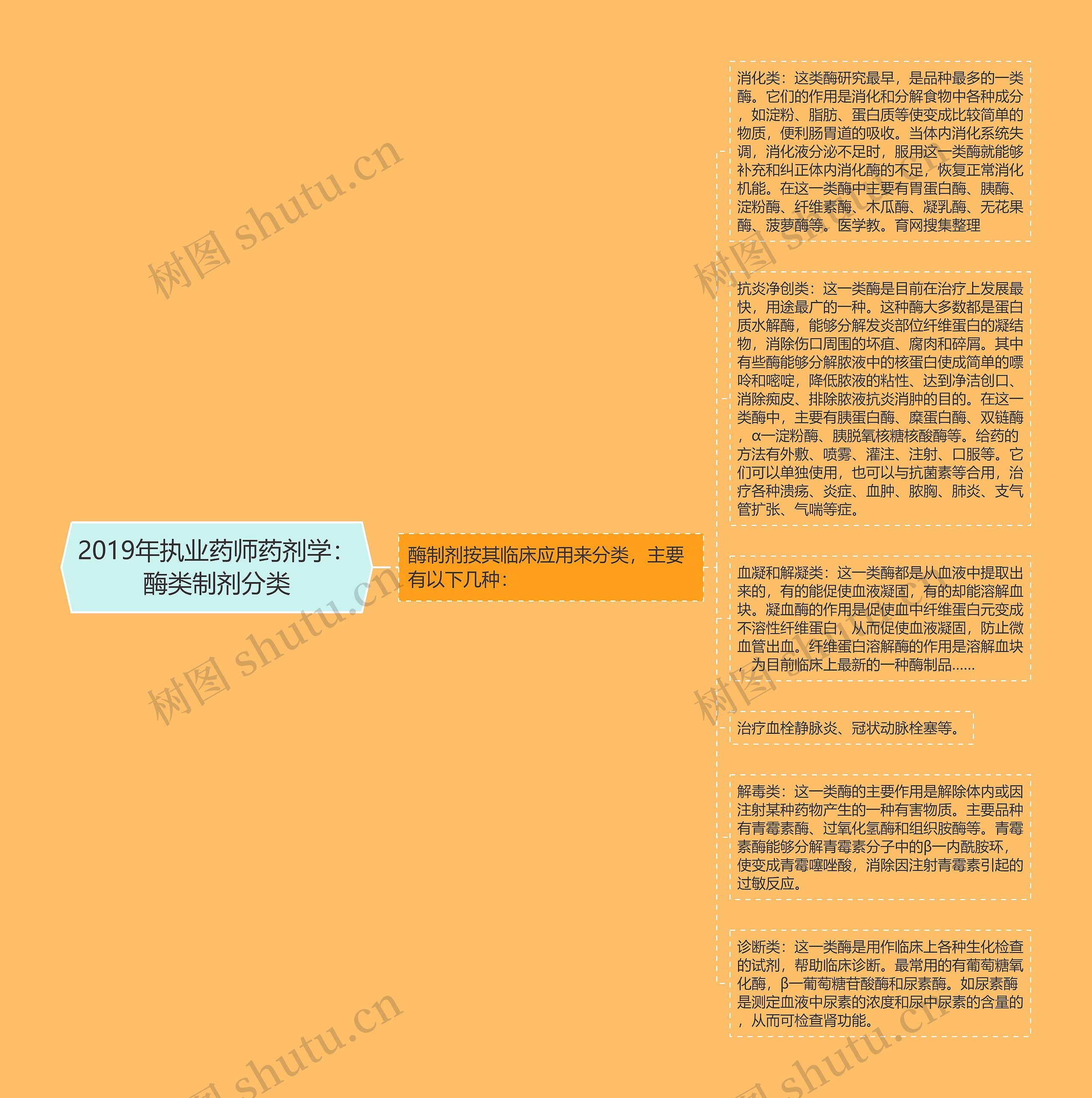 2019年执业药师药剂学：酶类制剂分类