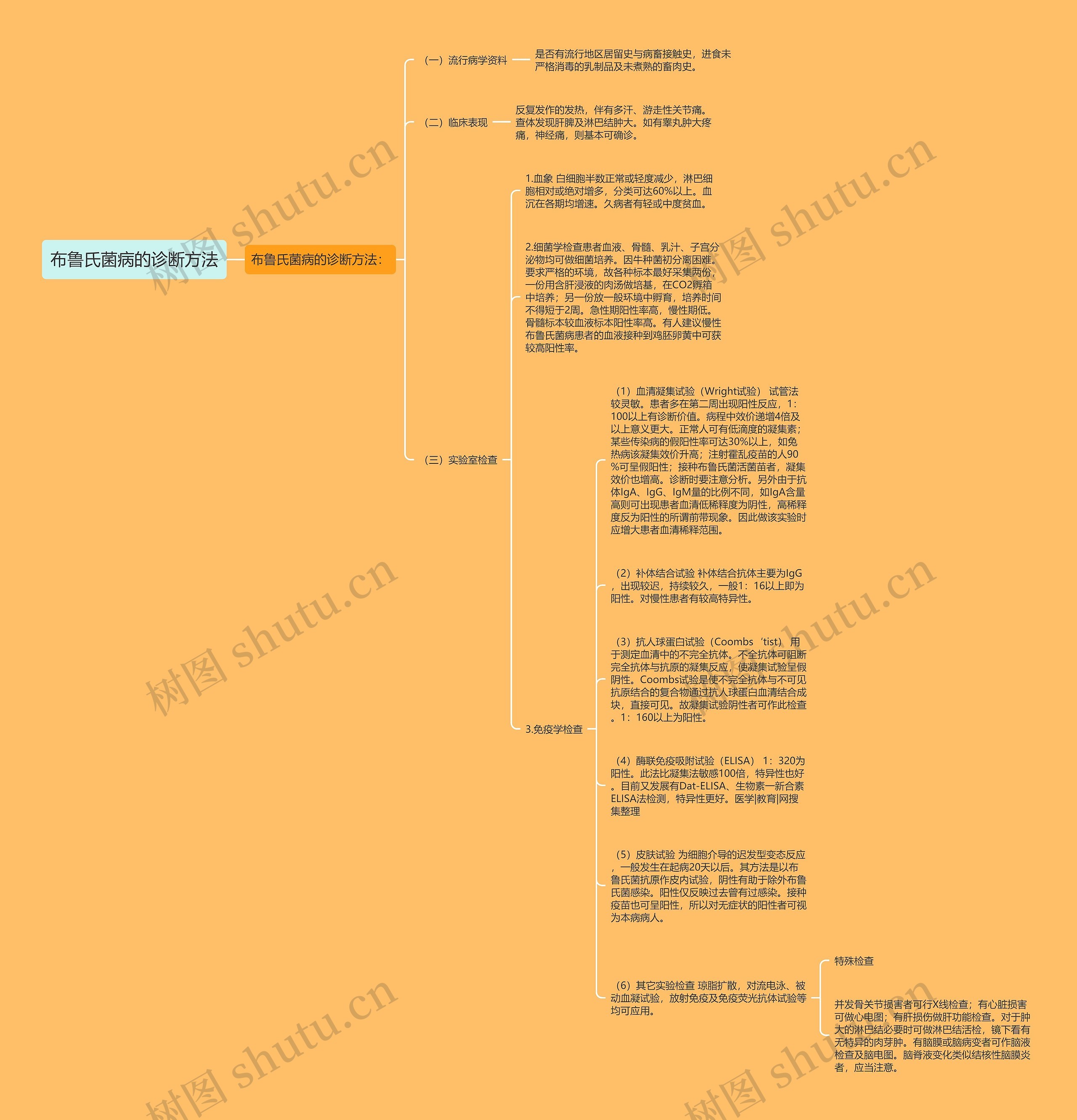 布鲁氏菌病的诊断方法思维导图