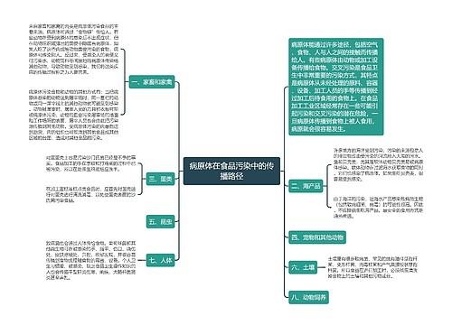 病原体在食品污染中的传播路径