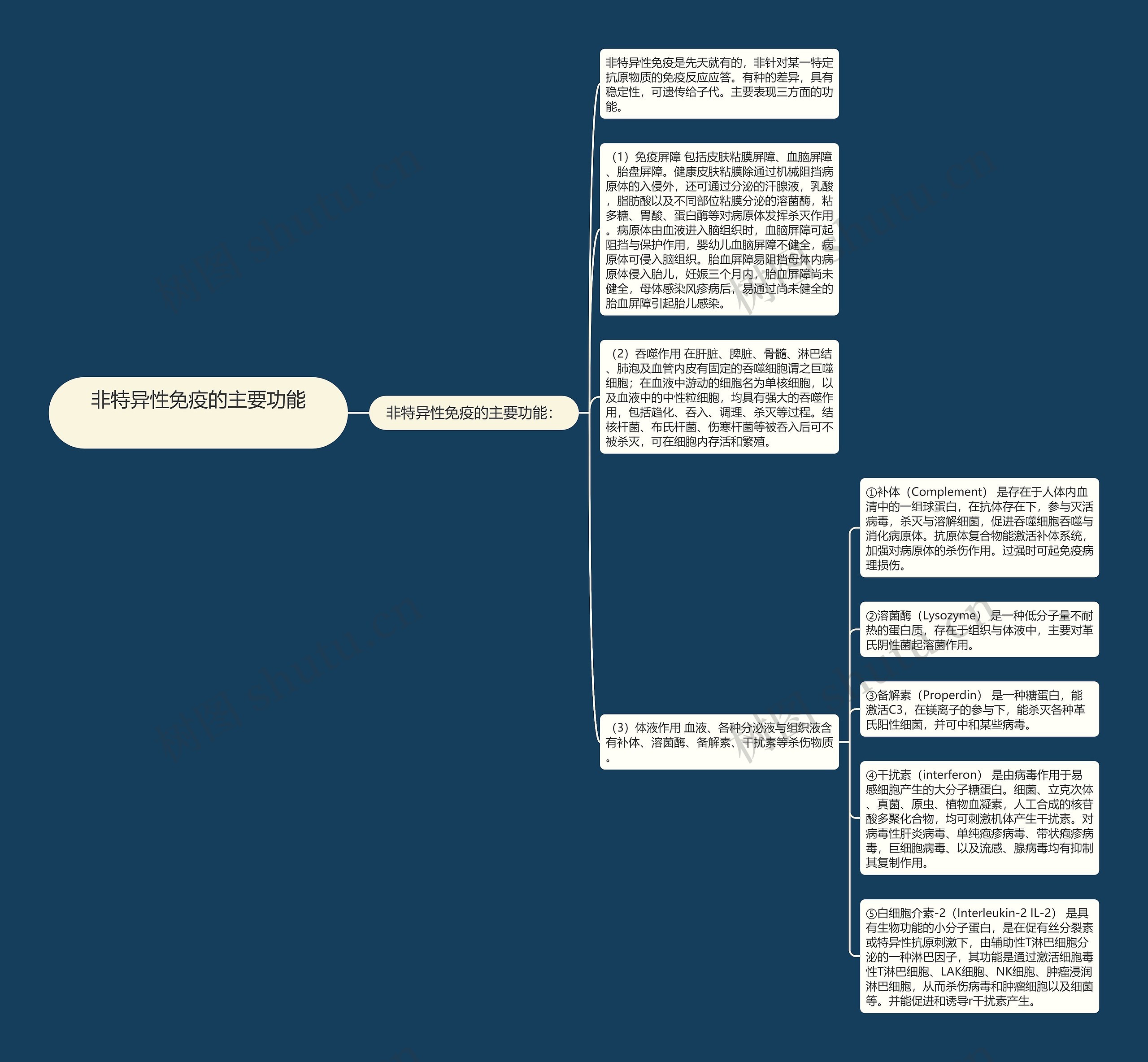 非特异性免疫的主要功能　思维导图