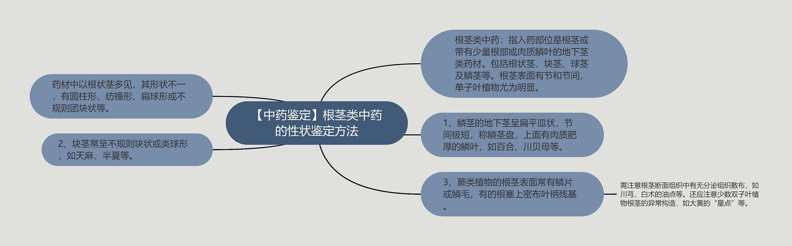 【中药鉴定】根茎类中药的性状鉴定方法思维导图