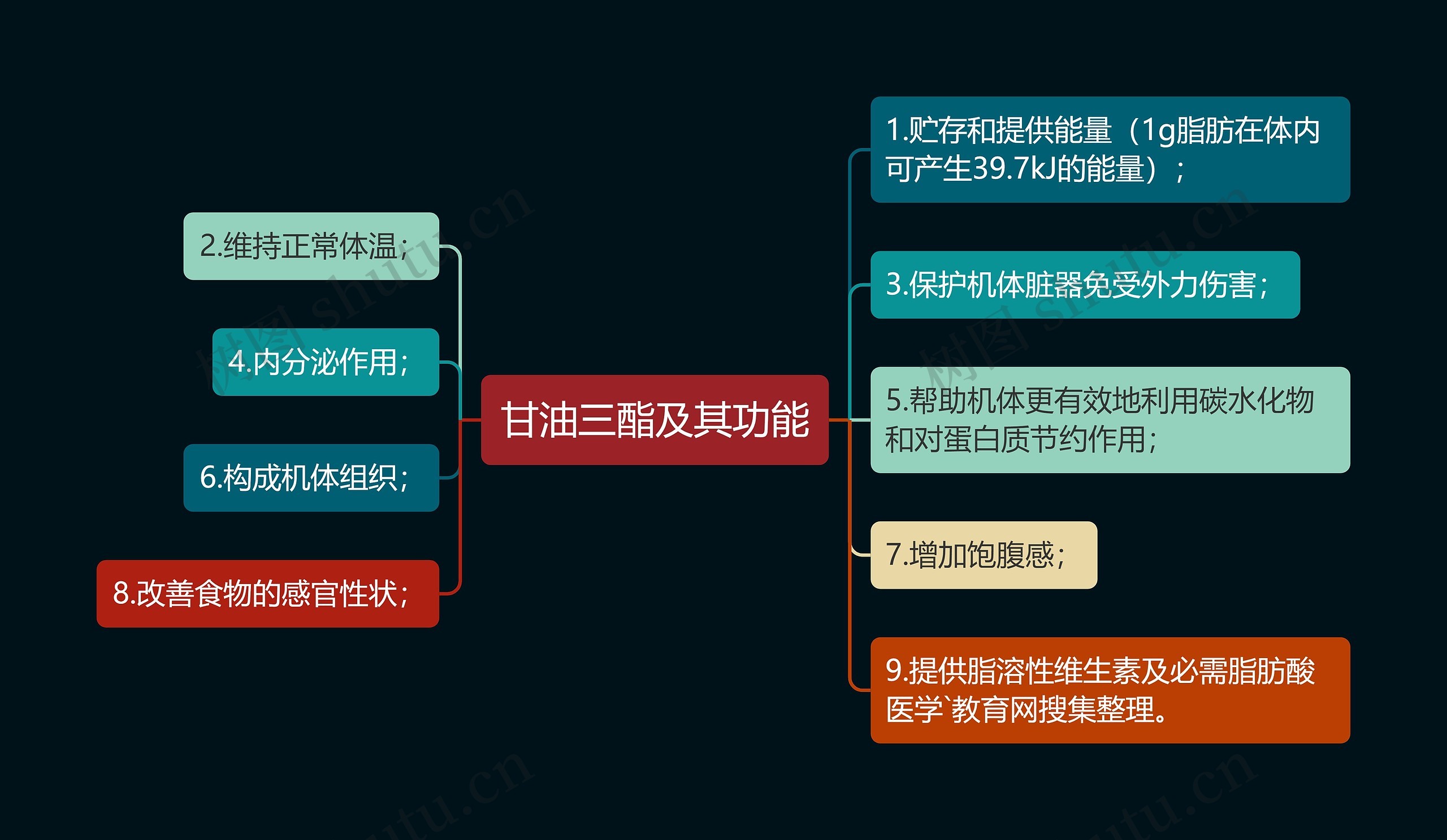 甘油三酯及其功能思维导图