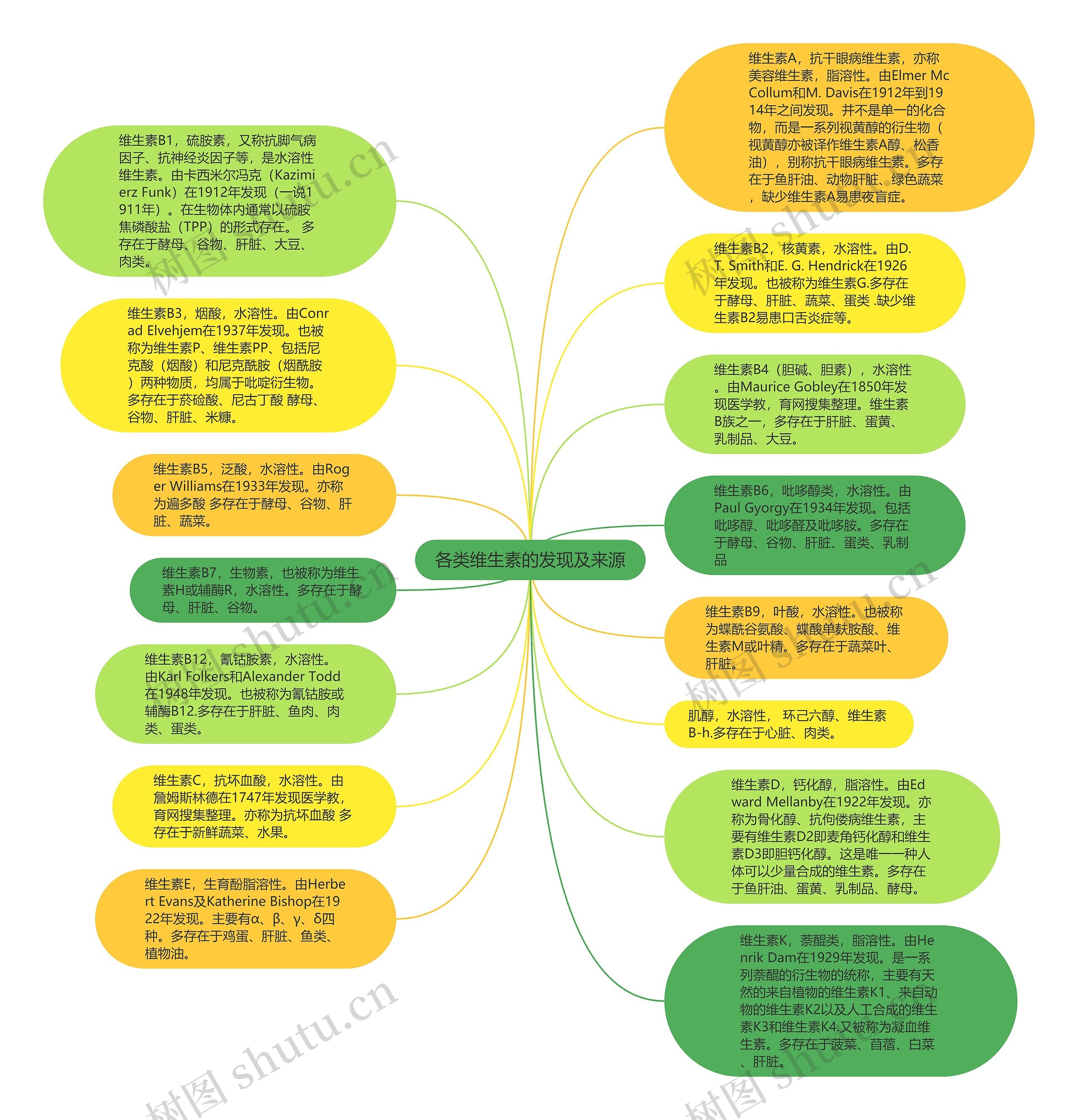 各类维生素的发现及来源思维导图