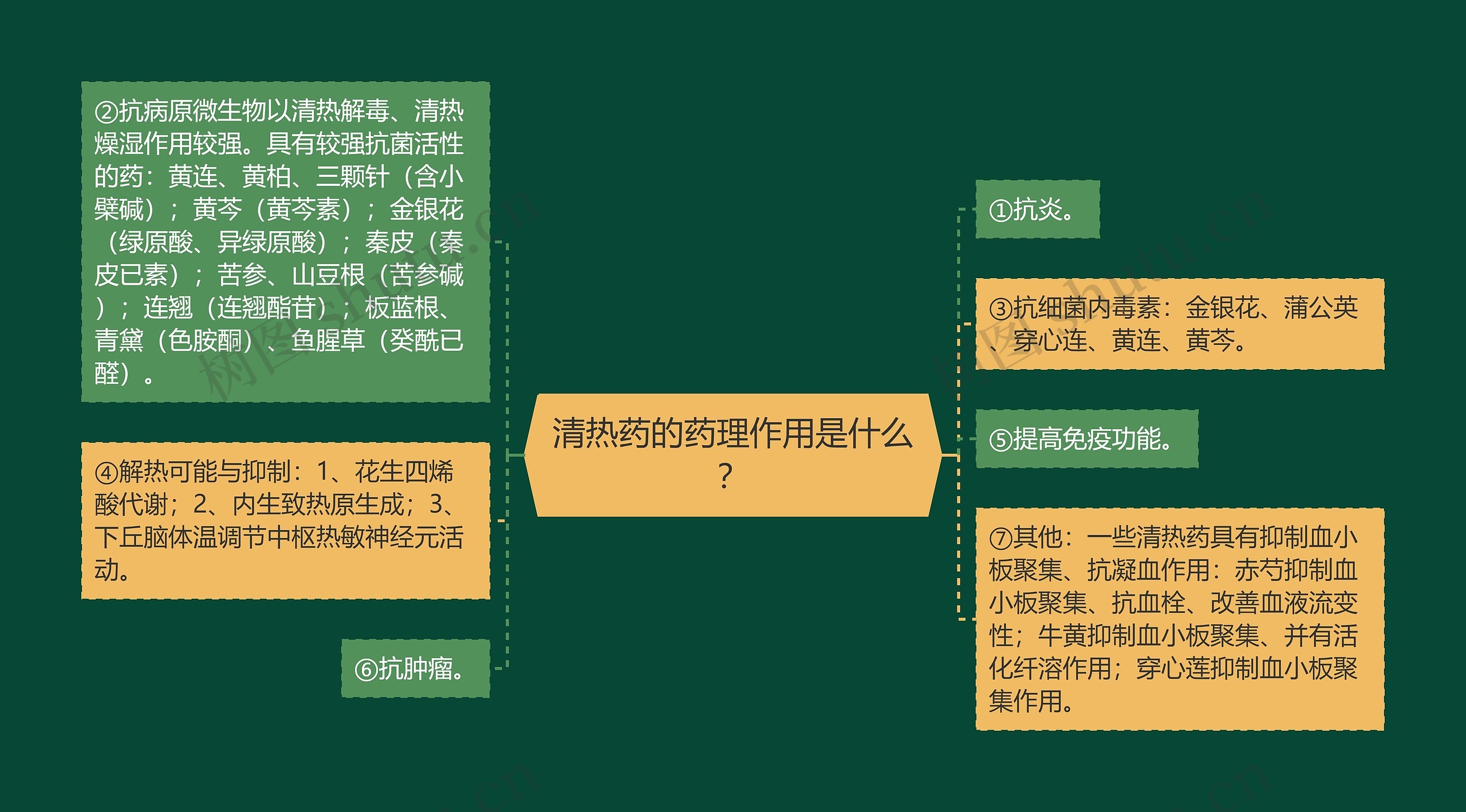 清热药的药理作用是什么？