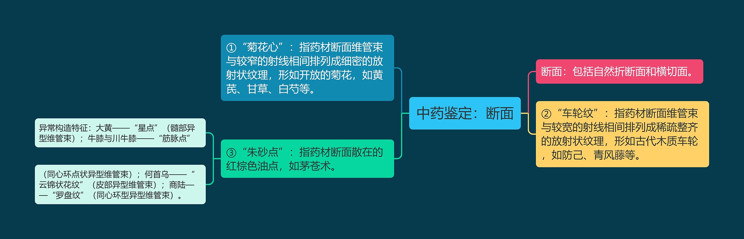 中药鉴定：断面思维导图