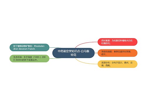 中药鉴定学知识点-白马鬃铃花