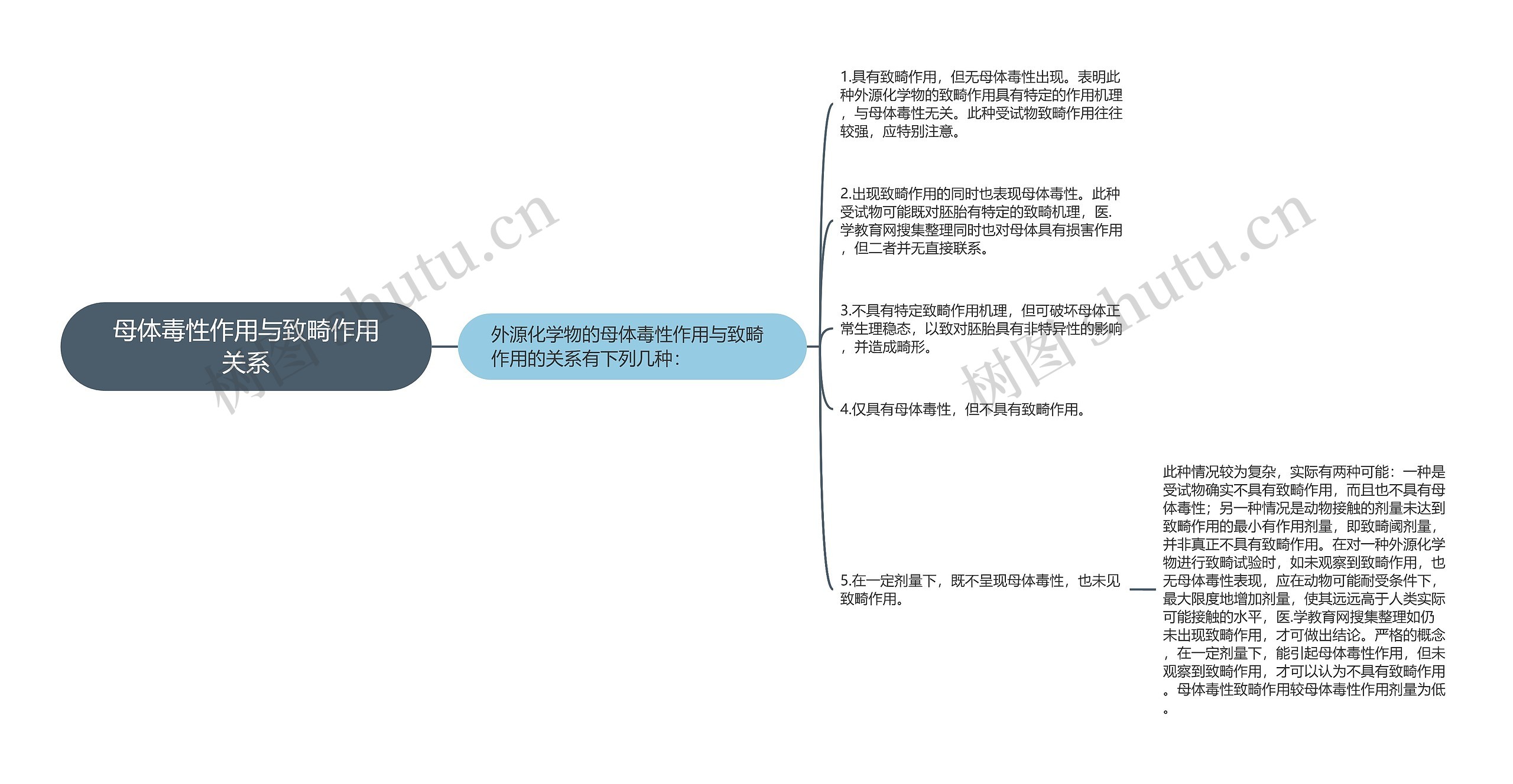 母体毒性作用与致畸作用关系思维导图