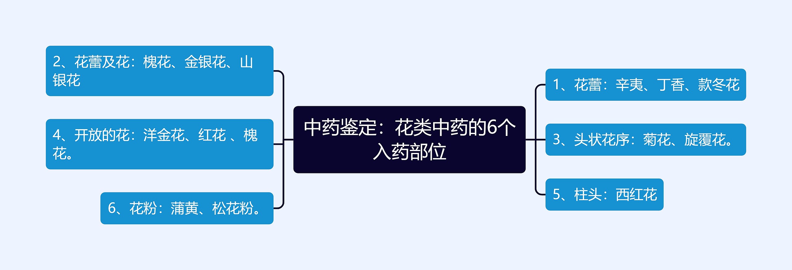 中药鉴定：花类中药的6个入药部位