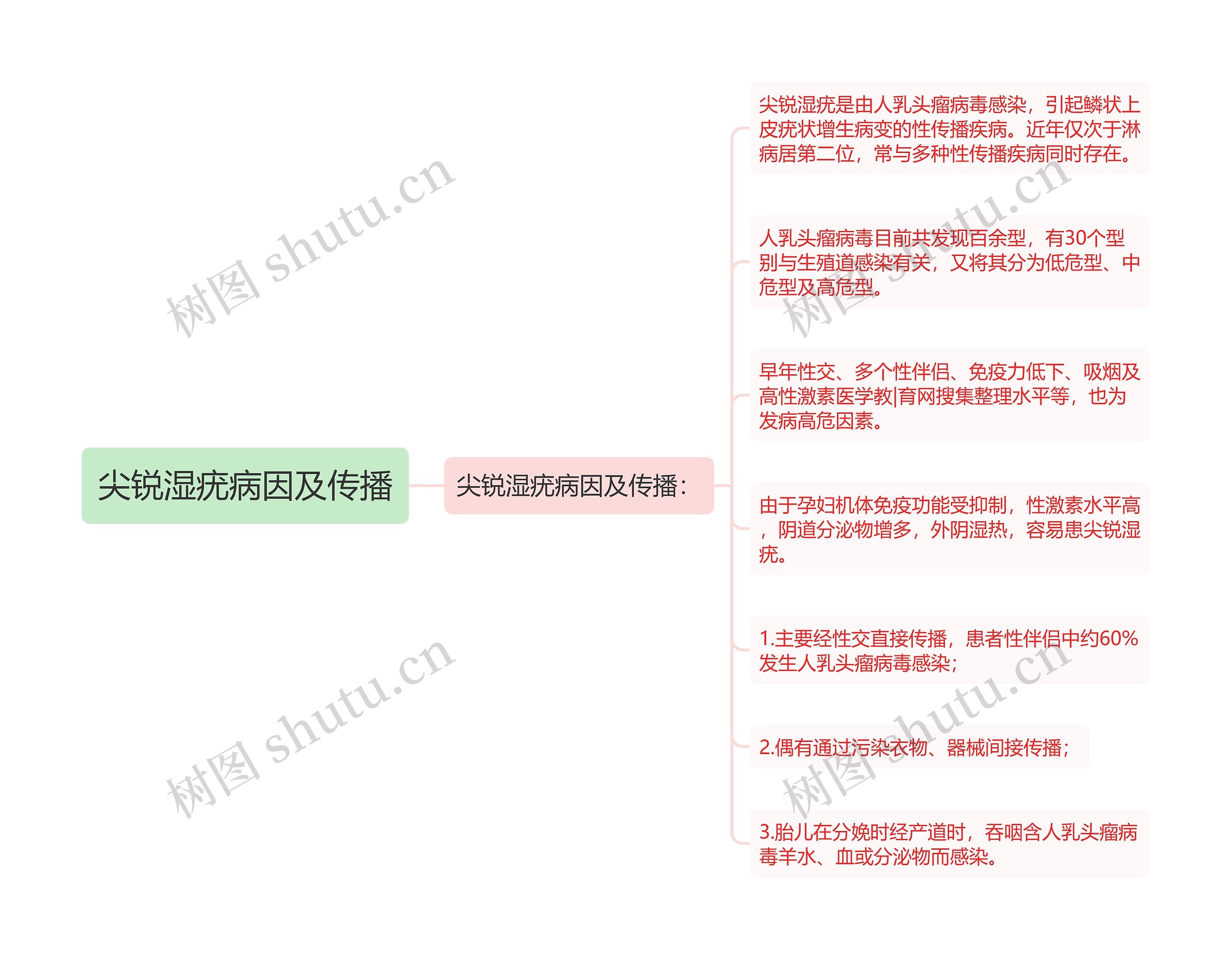 尖锐湿疣病因及传播思维导图