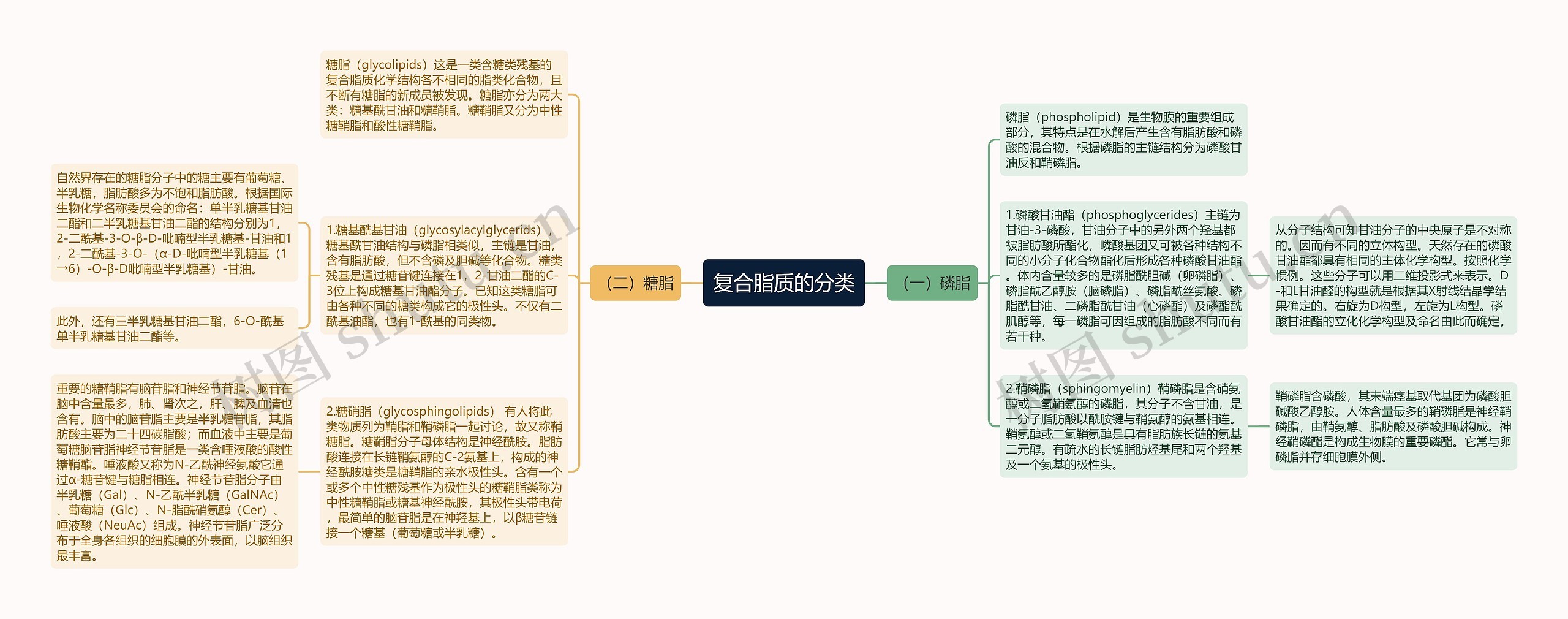 复合脂质的分类