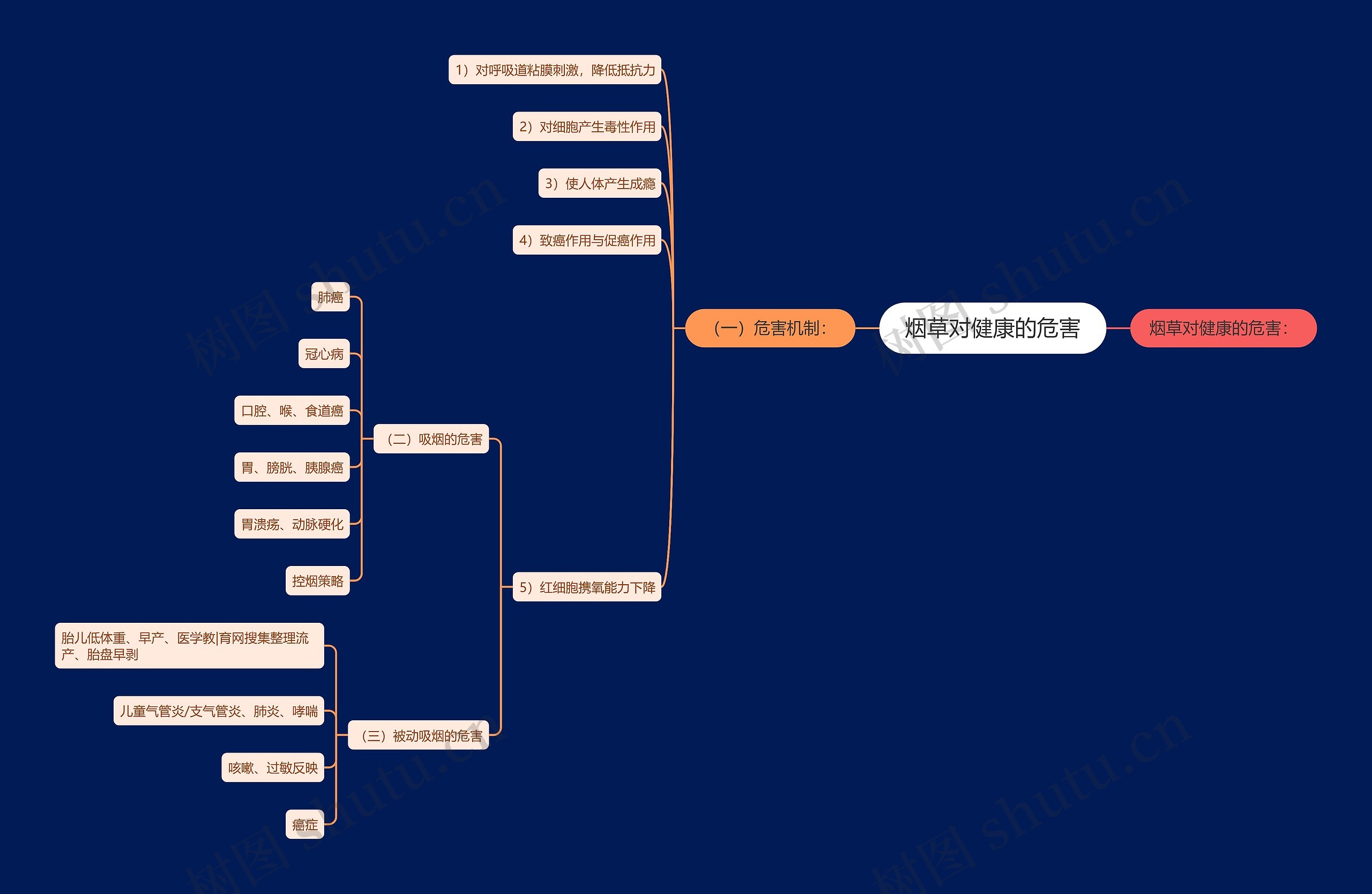 烟草对健康的危害思维导图