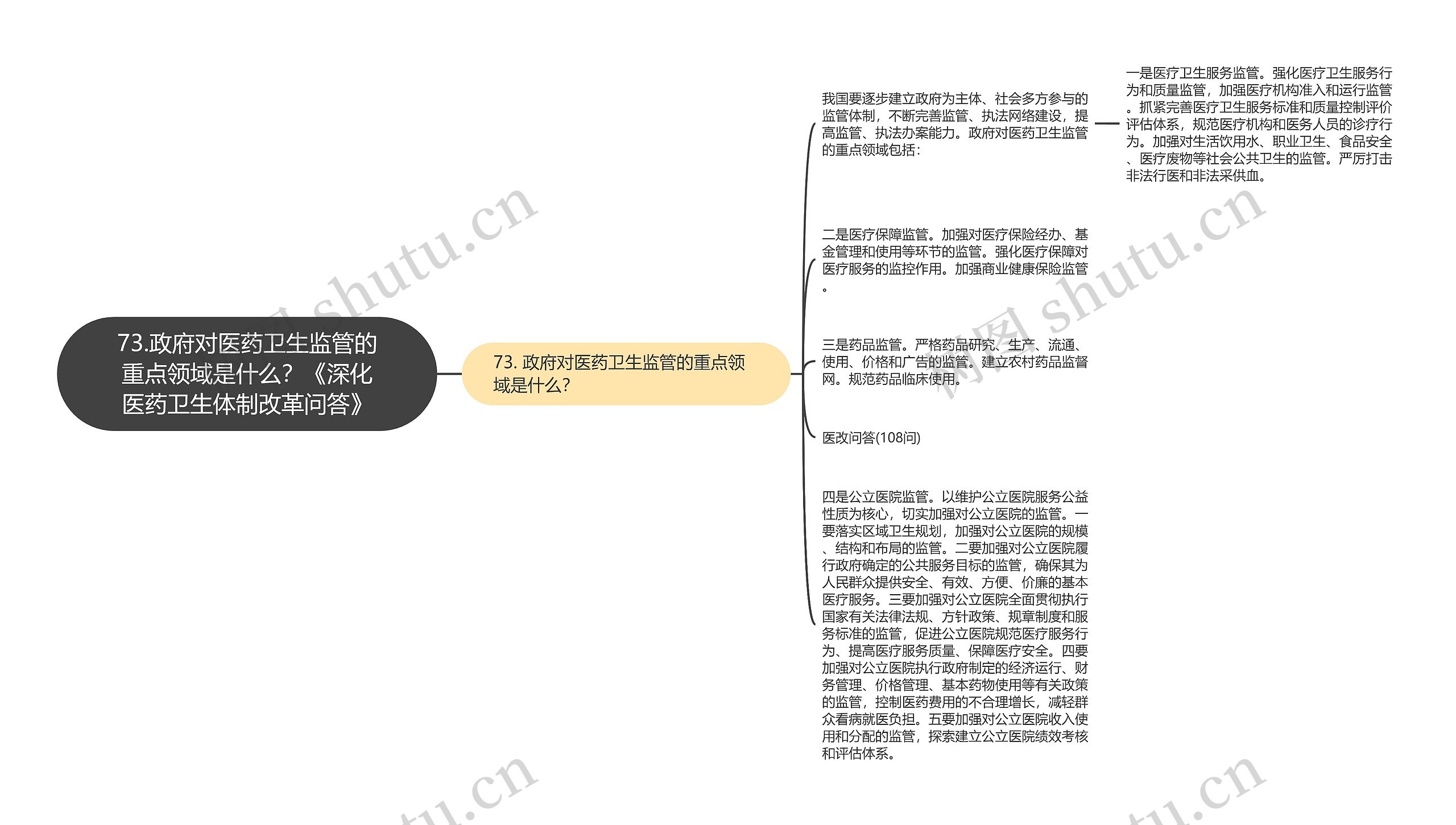 73.政府对医药卫生监管的重点领域是什么？《深化医药卫生体制改革问答》思维导图