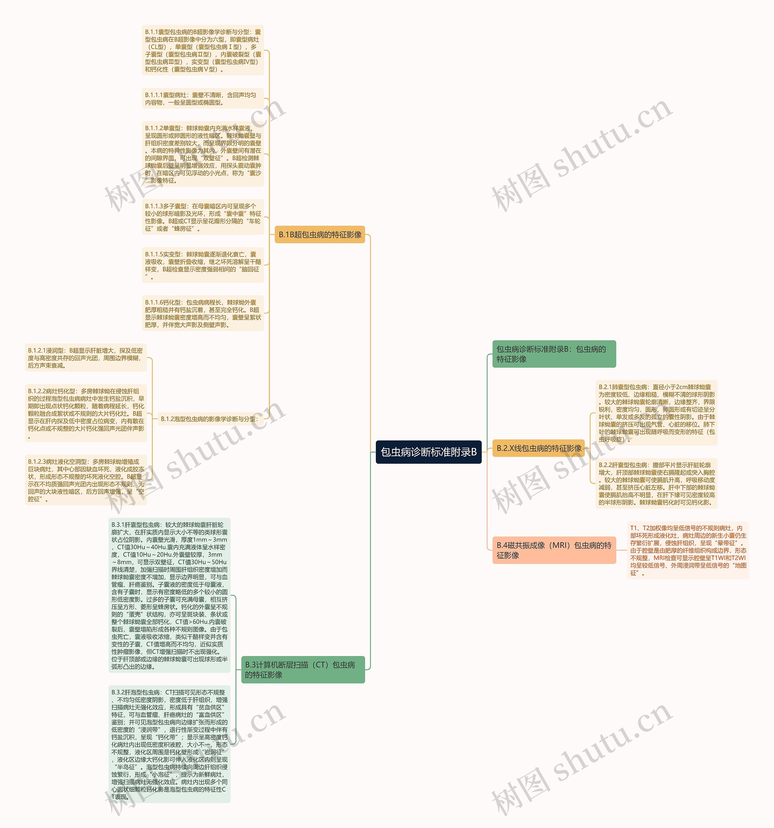 包虫病诊断标准附录B思维导图