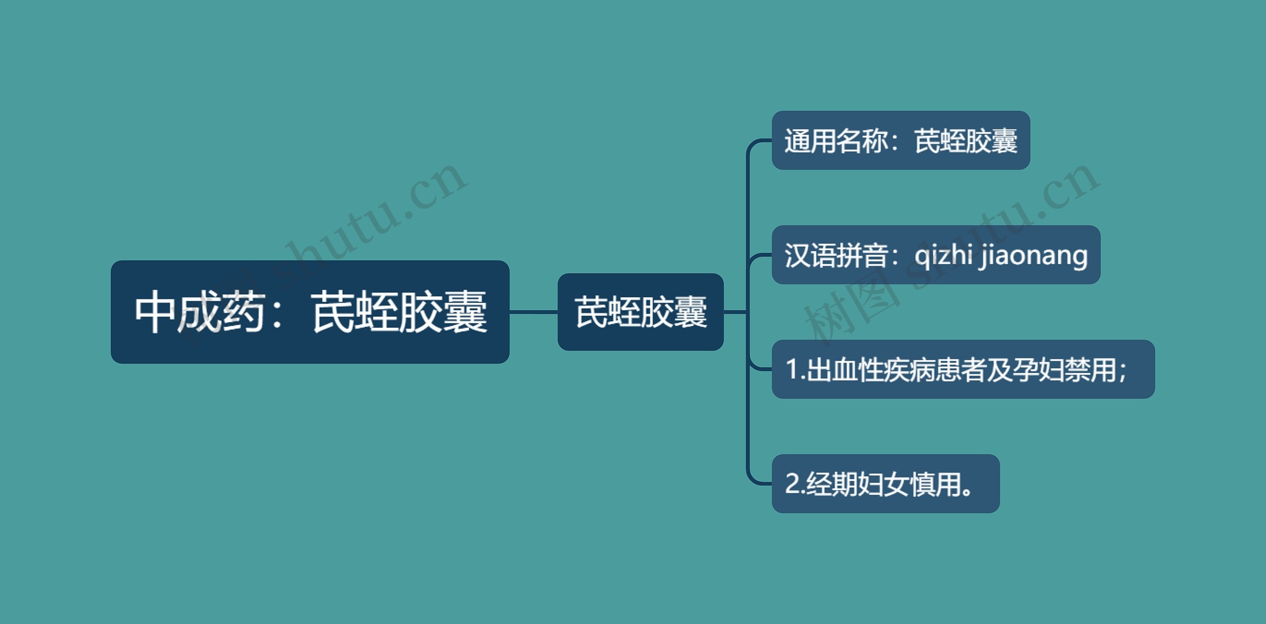 中成药：芪蛭胶囊思维导图