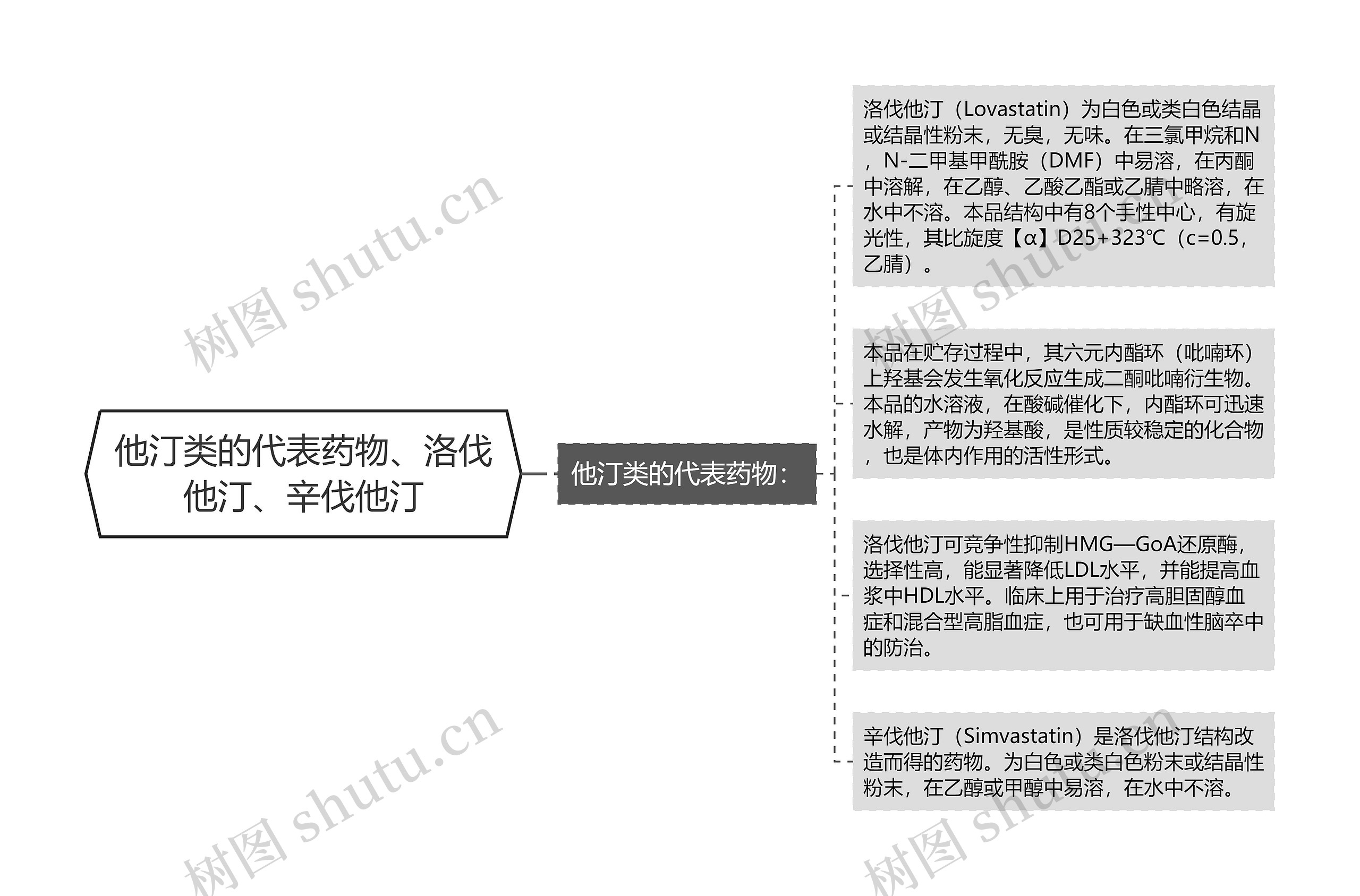 他汀类的代表药物、洛伐他汀、辛伐他汀思维导图