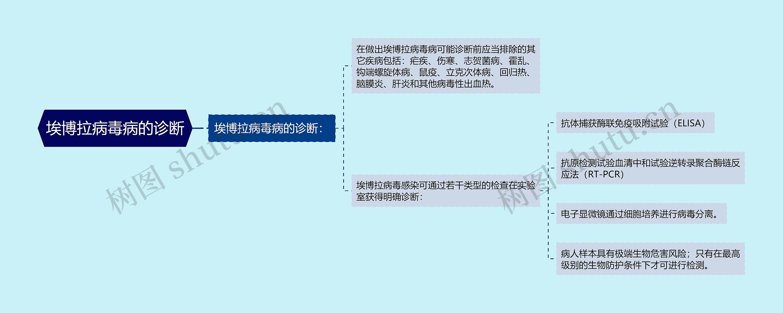 埃博拉病毒病的诊断