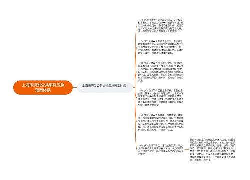 上海市突发公共事件应急预案体系