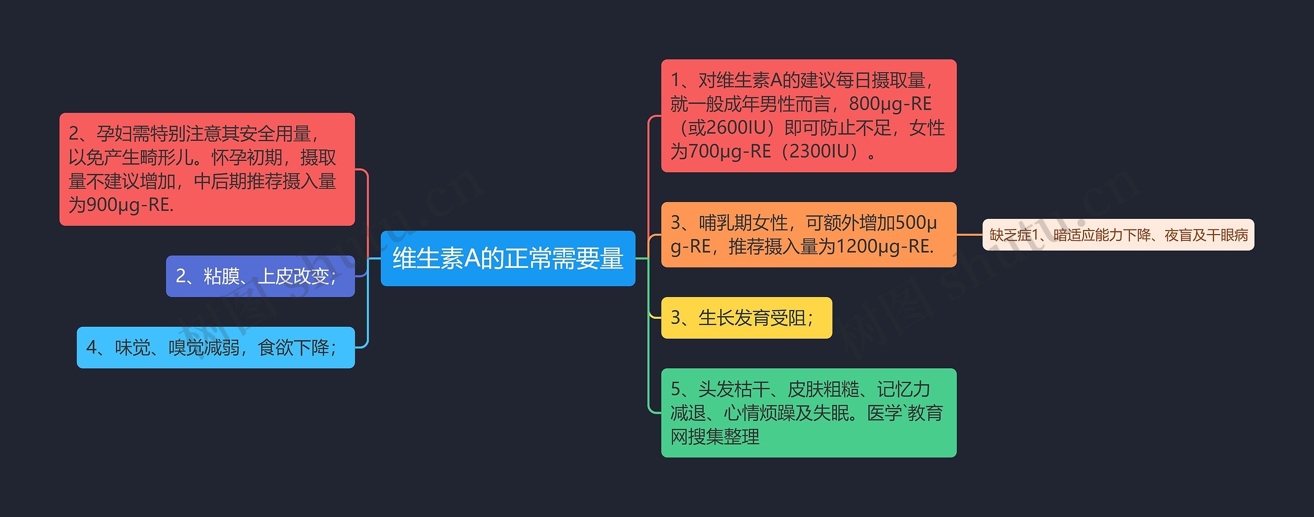 维生素A的正常需要量思维导图