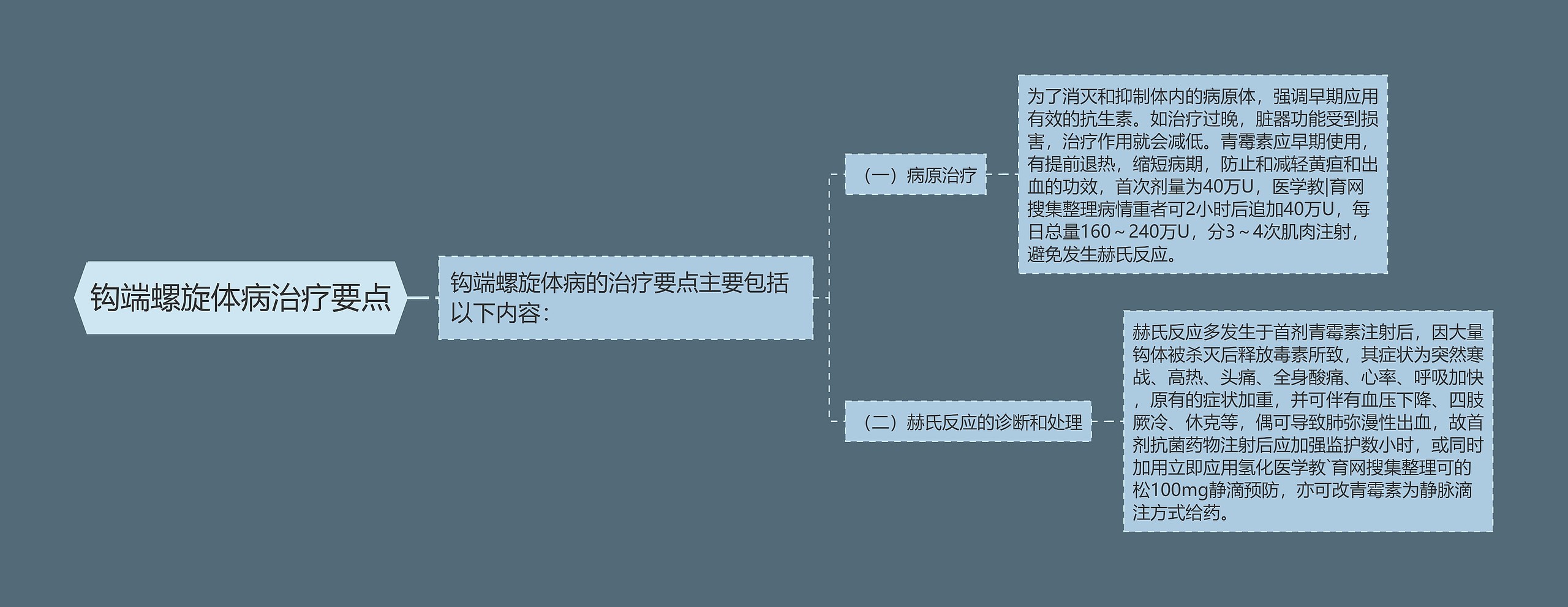 钩端螺旋体病治疗要点思维导图