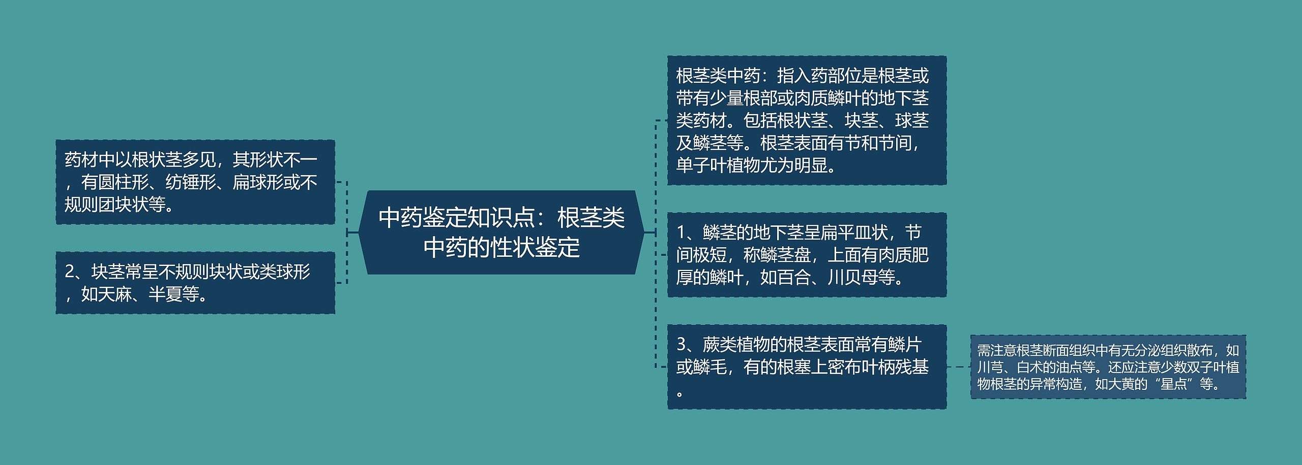 中药鉴定知识点：根茎类中药的性状鉴定思维导图