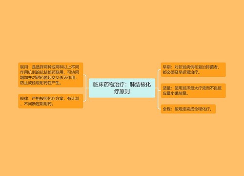 临床药物治疗：肺结核化疗原则