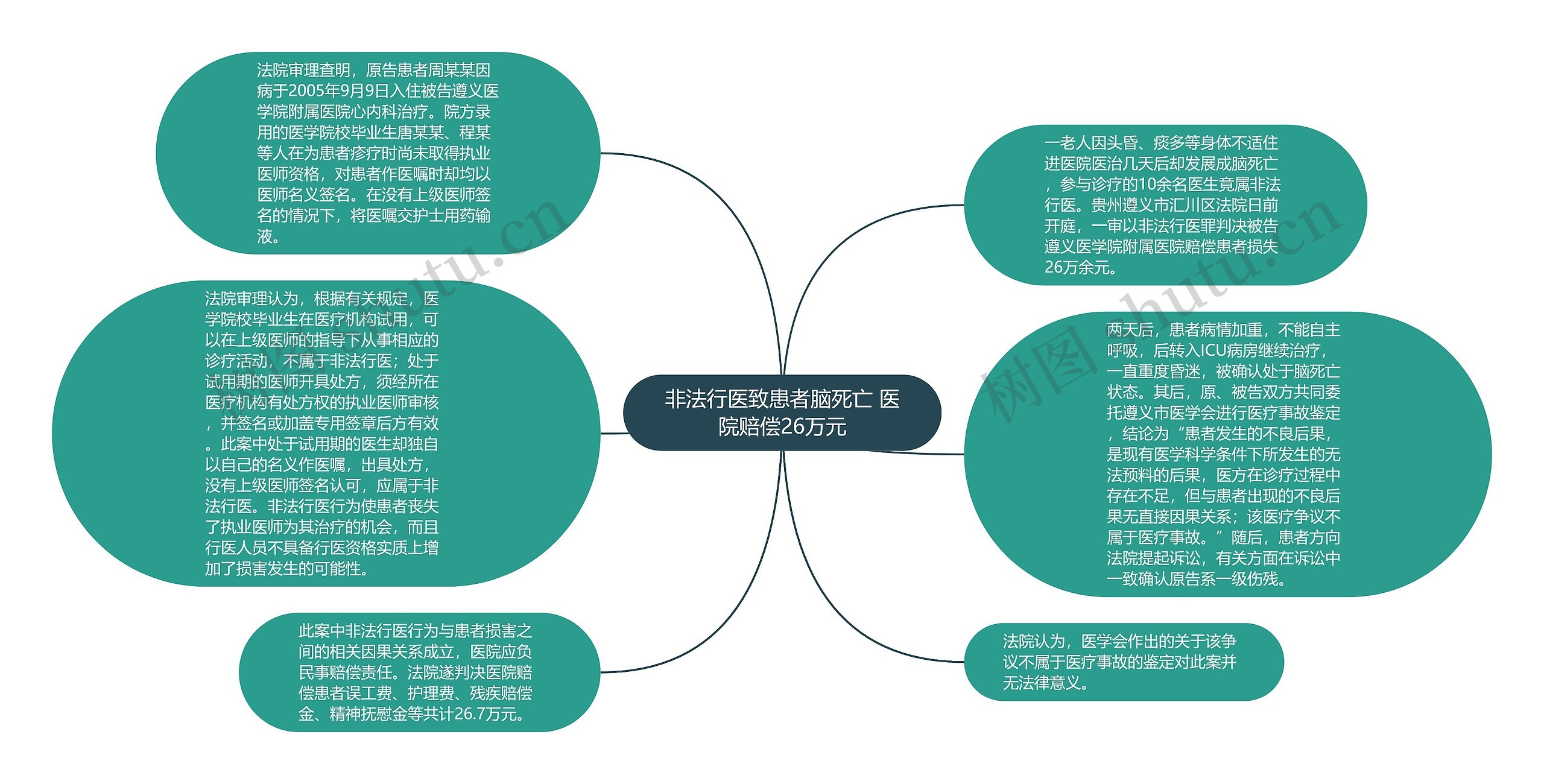 非法行医致患者脑死亡 医院赔偿26万元思维导图