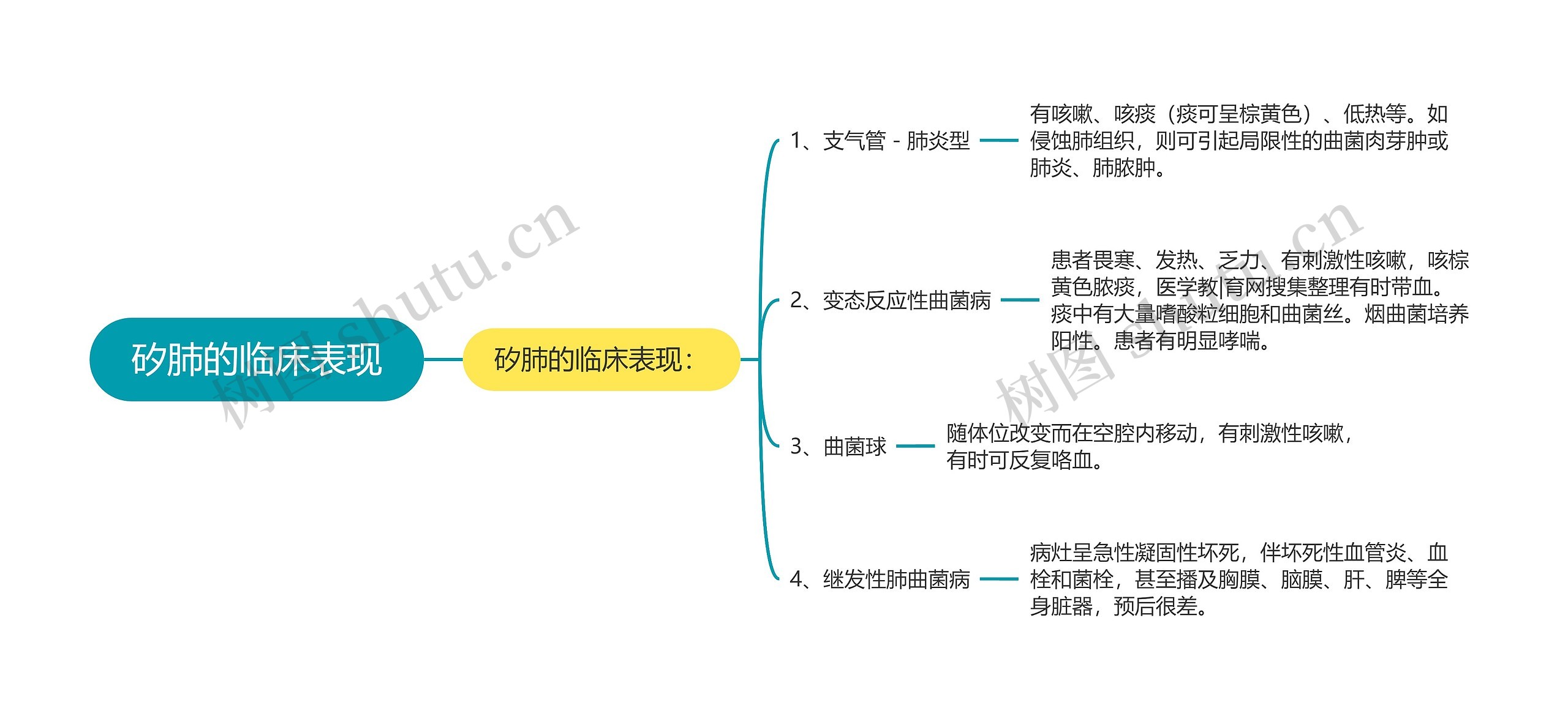 矽肺的临床表现思维导图