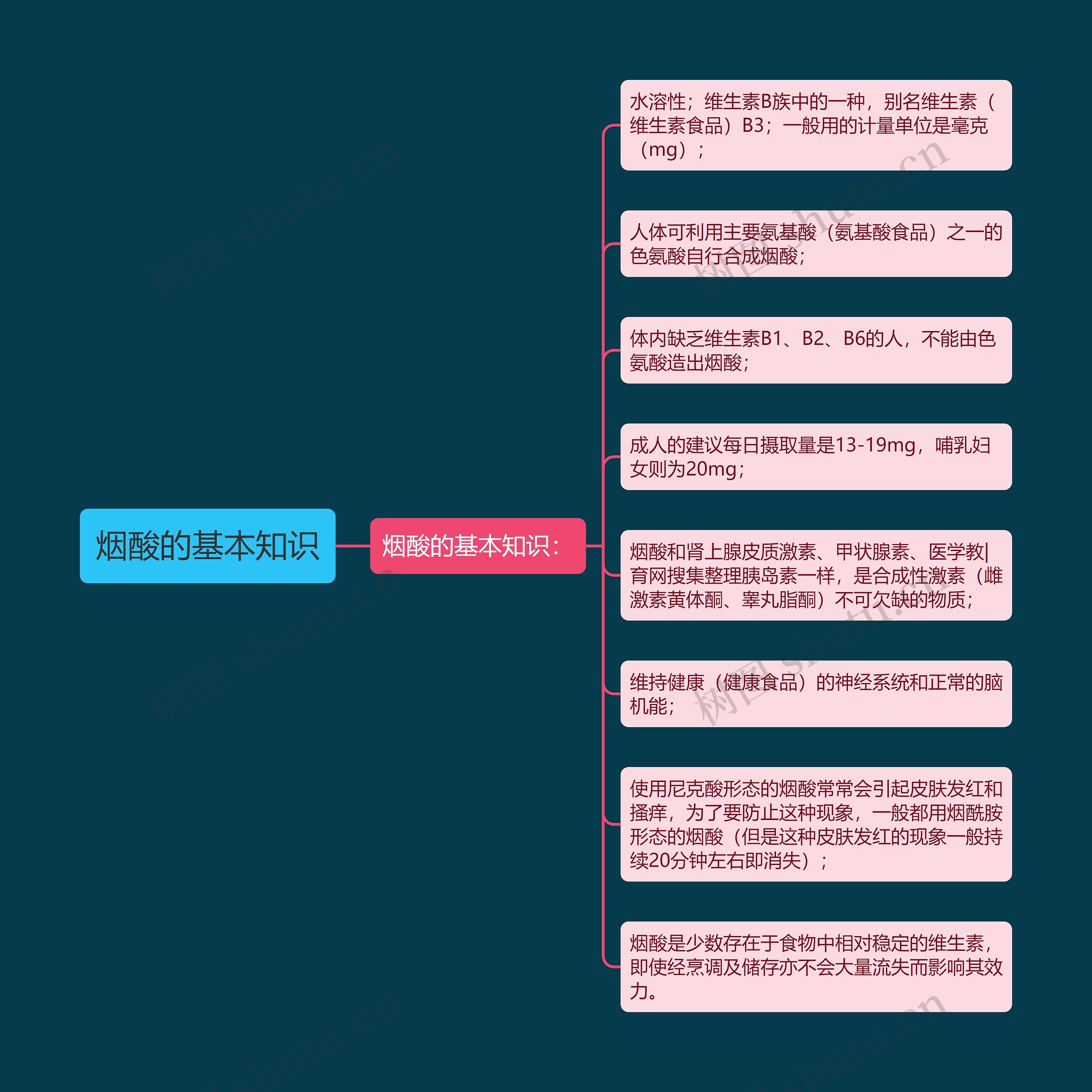 烟酸的基本知识思维导图