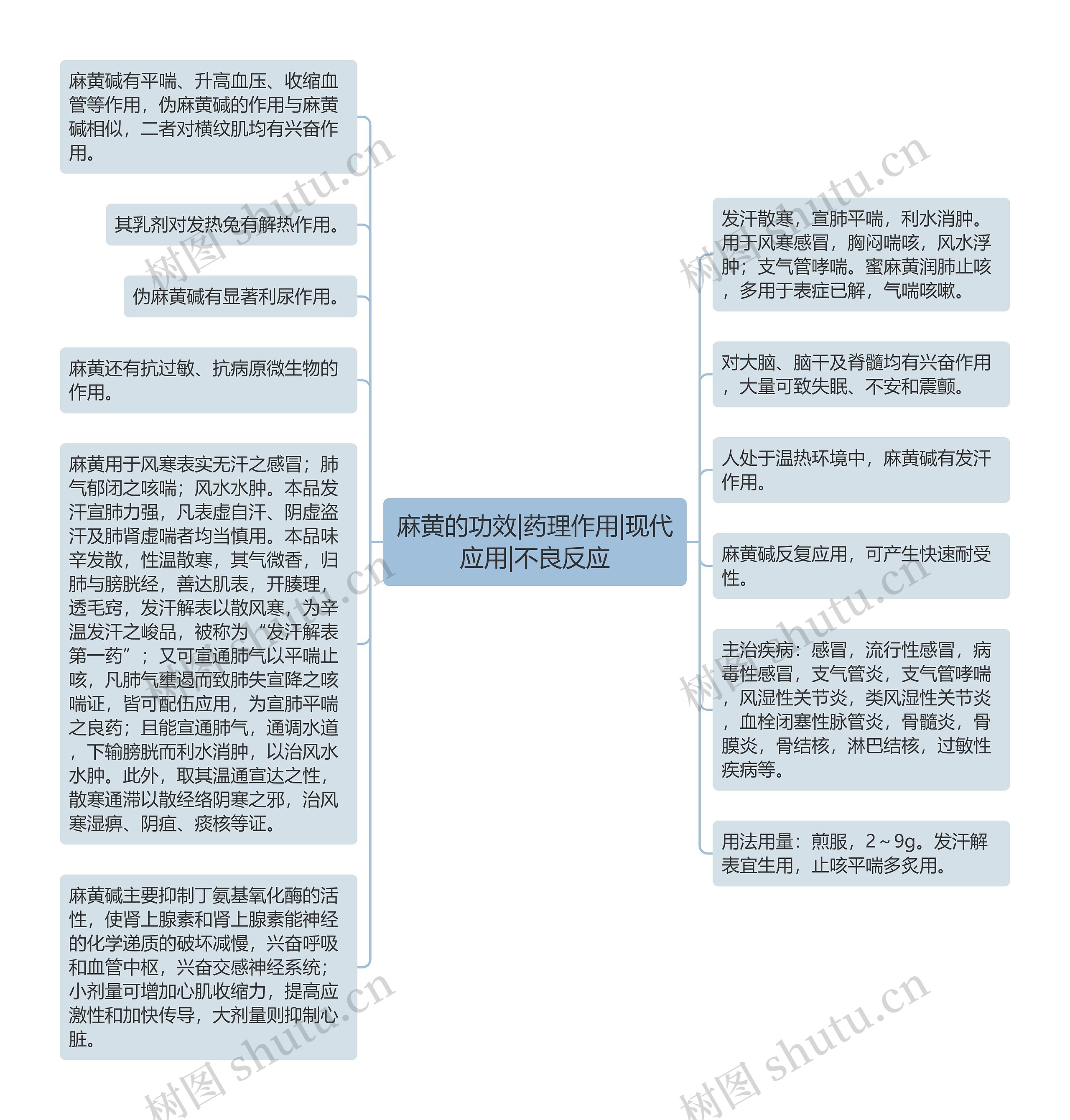 麻黄的功效|药理作用|现代应用|不良反应思维导图