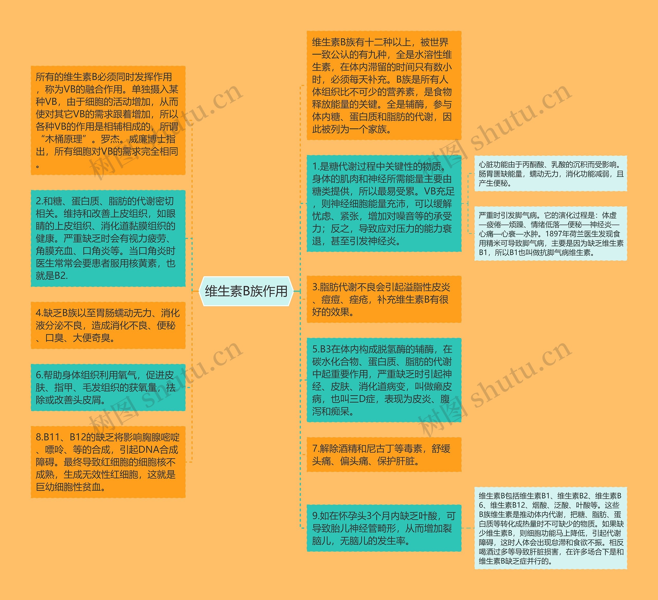 维生素B族作用思维导图