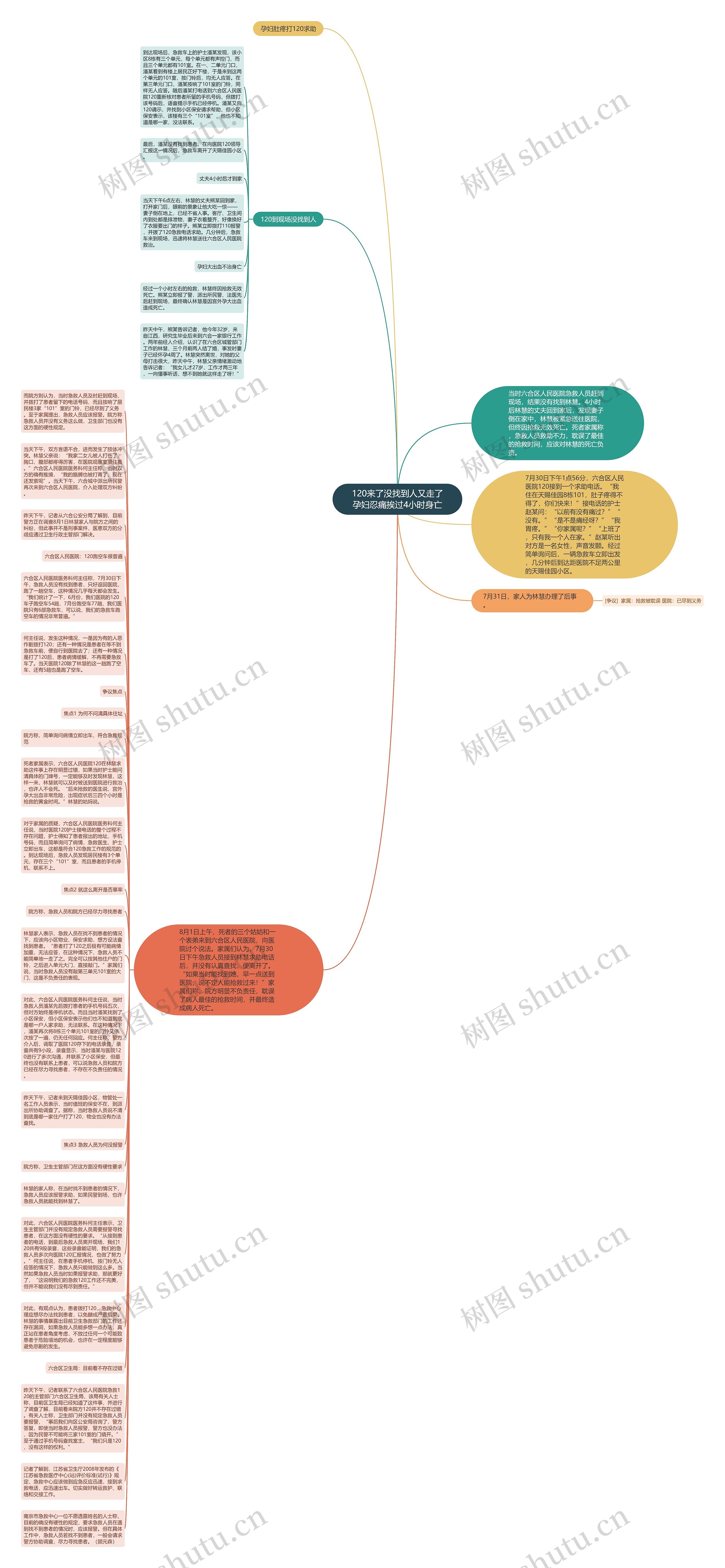 120来了没找到人又走了孕妇忍痛挨过4小时身亡思维导图