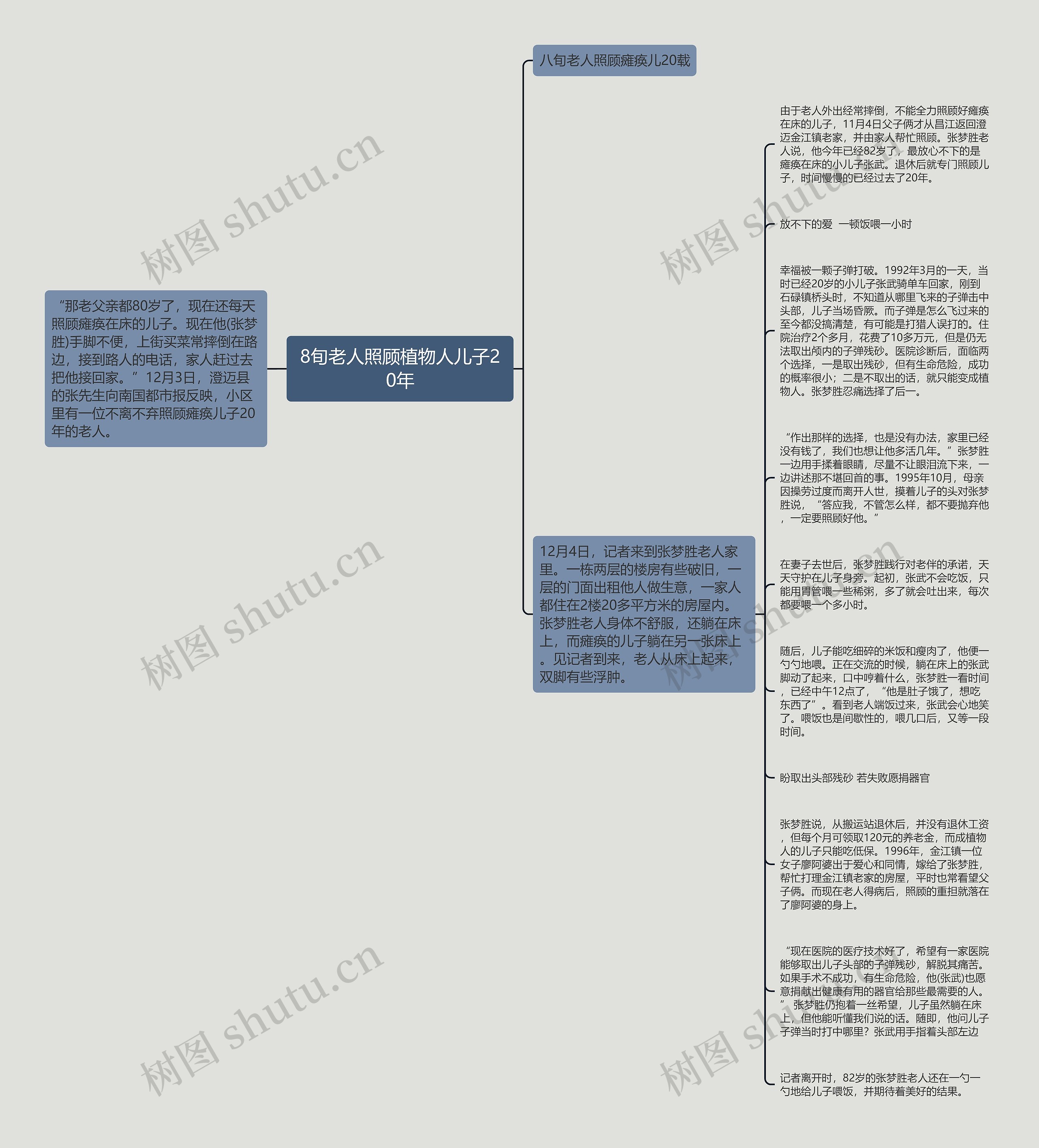 8旬老人照顾植物人儿子20年思维导图